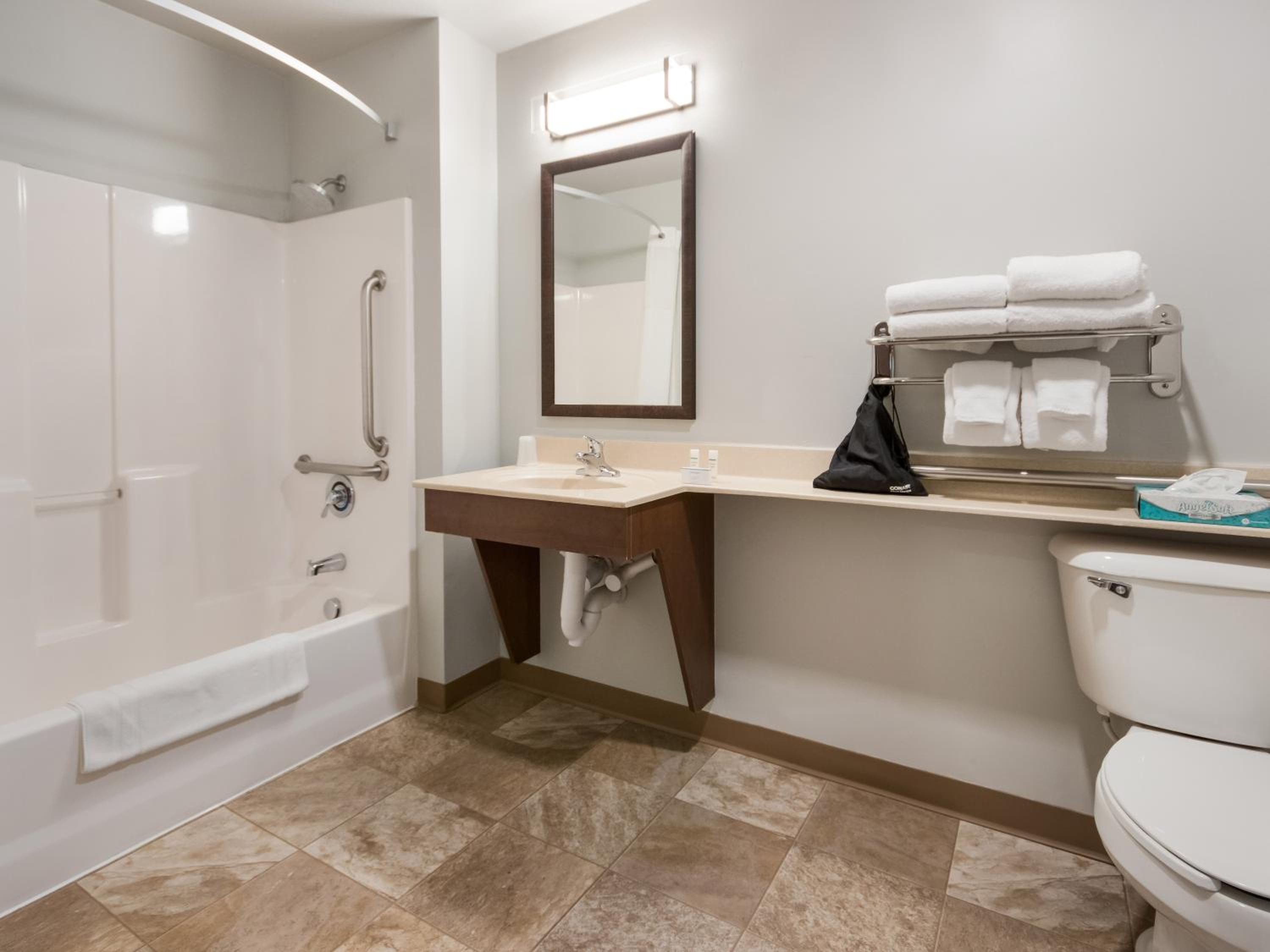 Queen Room - Hearing & Mobility Accessible - Roll In Shower - Photo 3