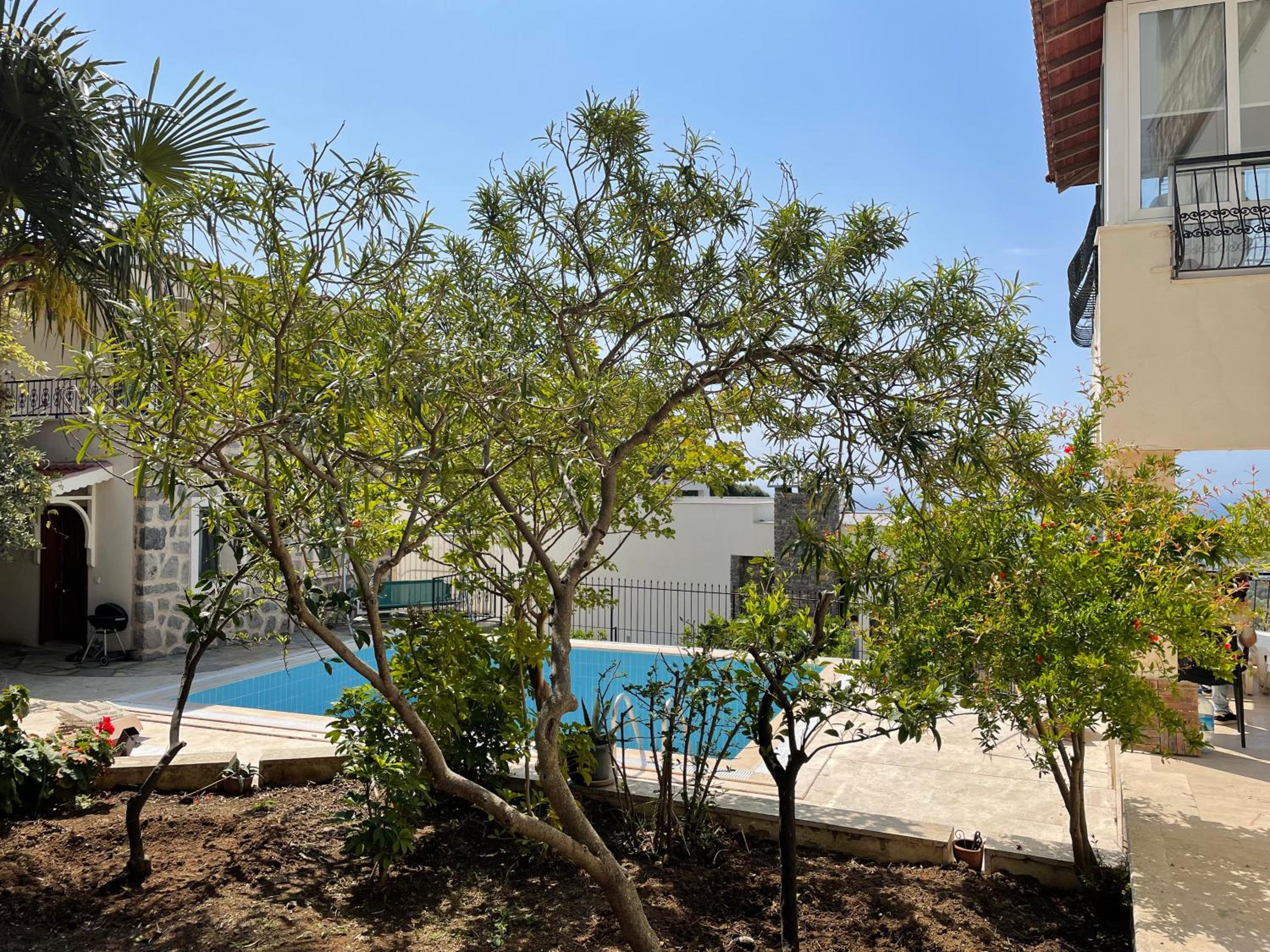 Three-Bedroom Villa - Photo 3