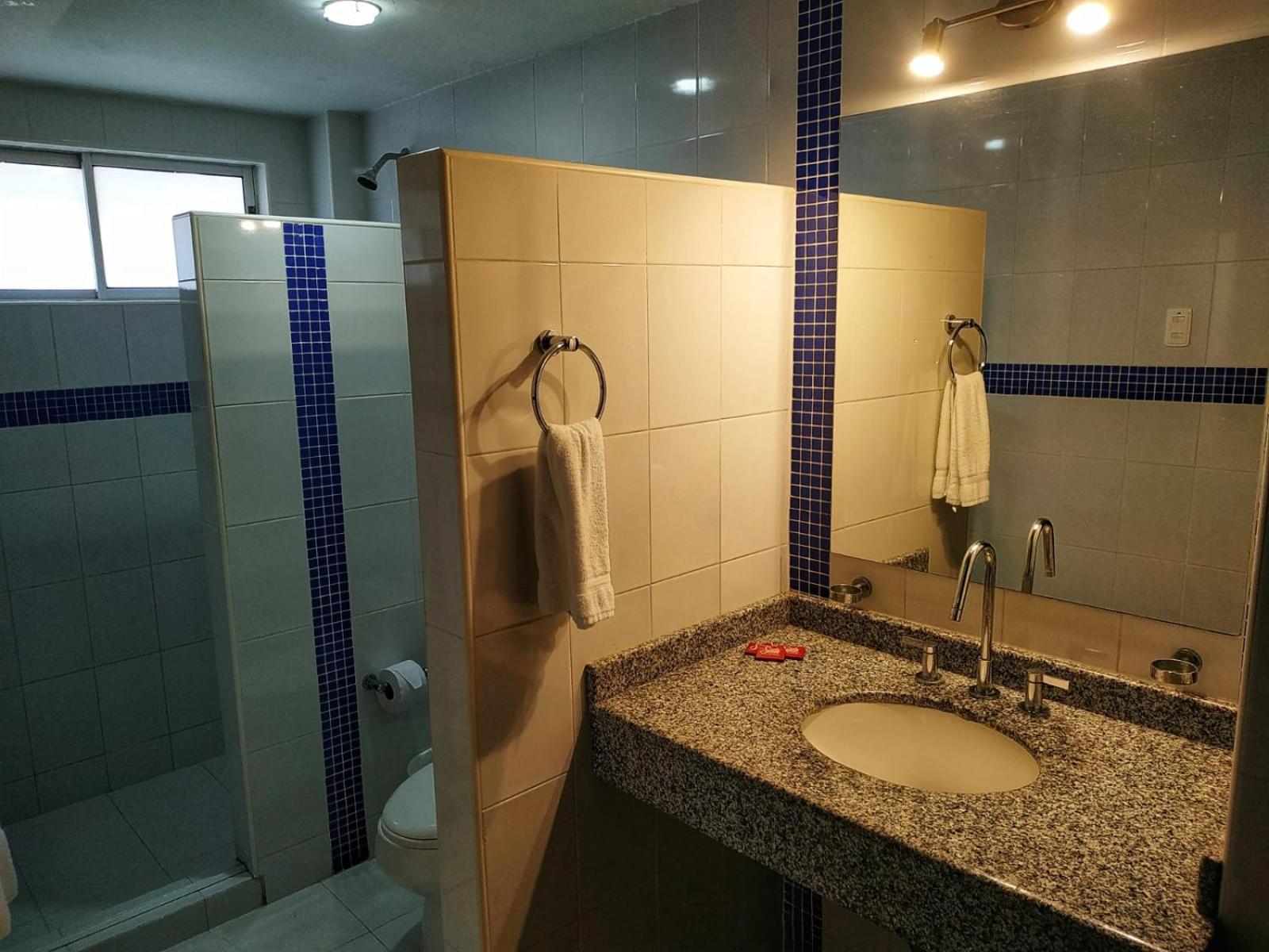 Standard Suite photo 3