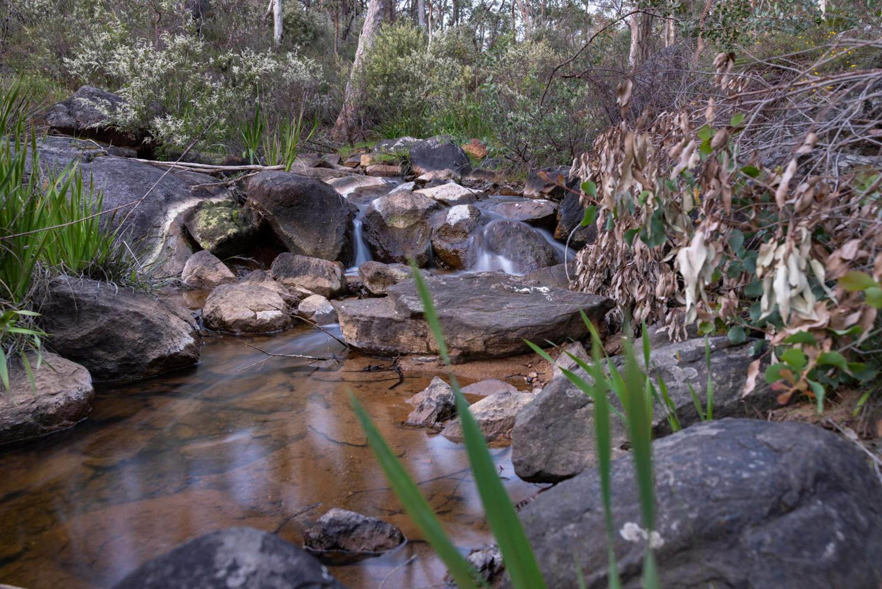 Superior Villa photo 2