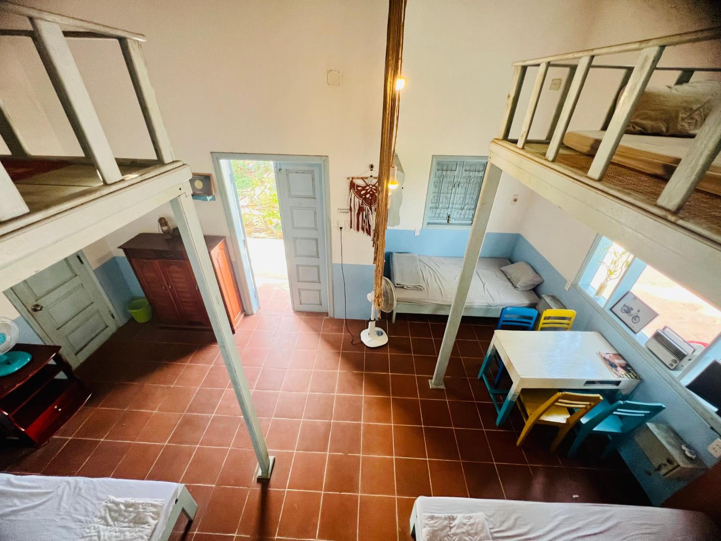 Single Bed in Mixed Dormitory Room photo 1