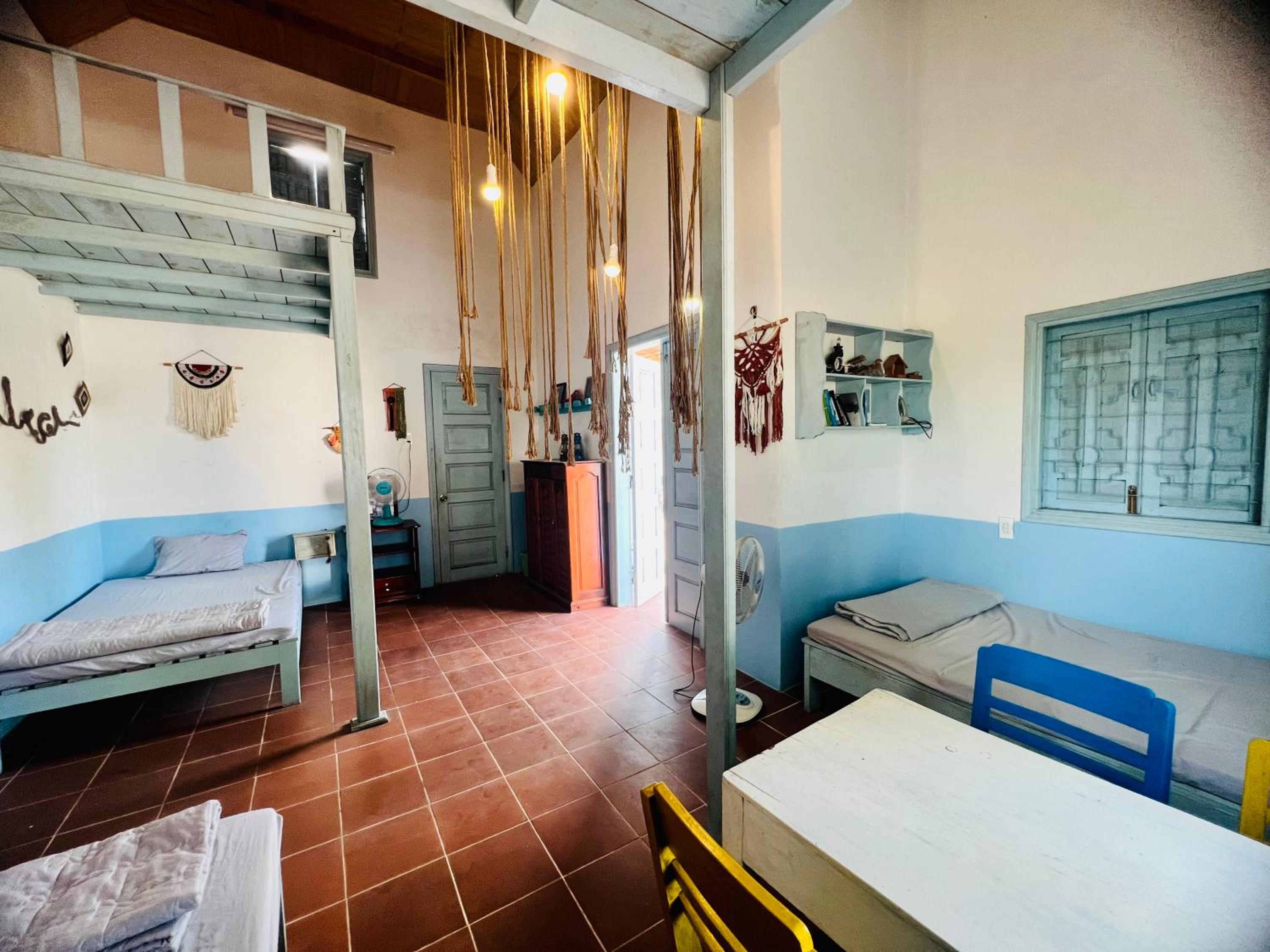 Single Bed in Mixed Dormitory Room photo 3