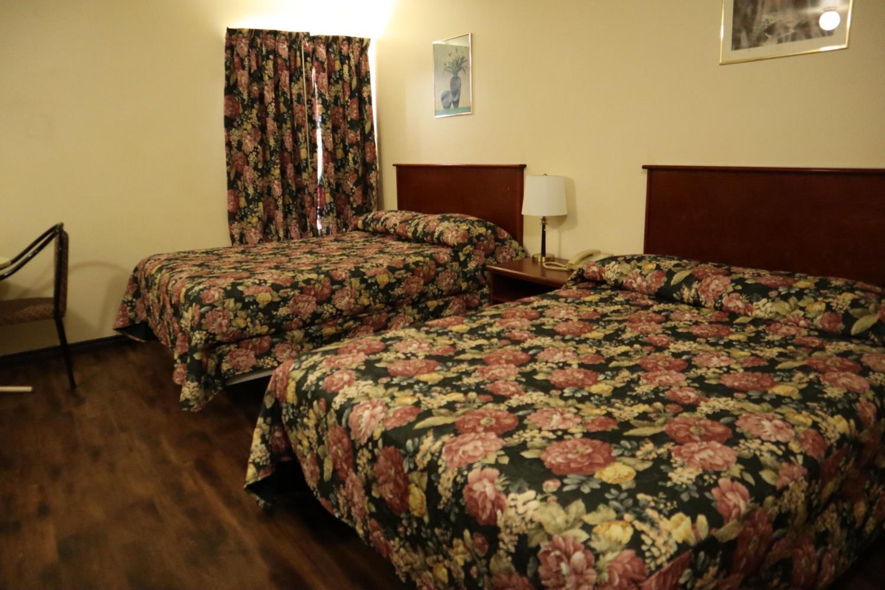 Standard Double or Twin Room photo 1