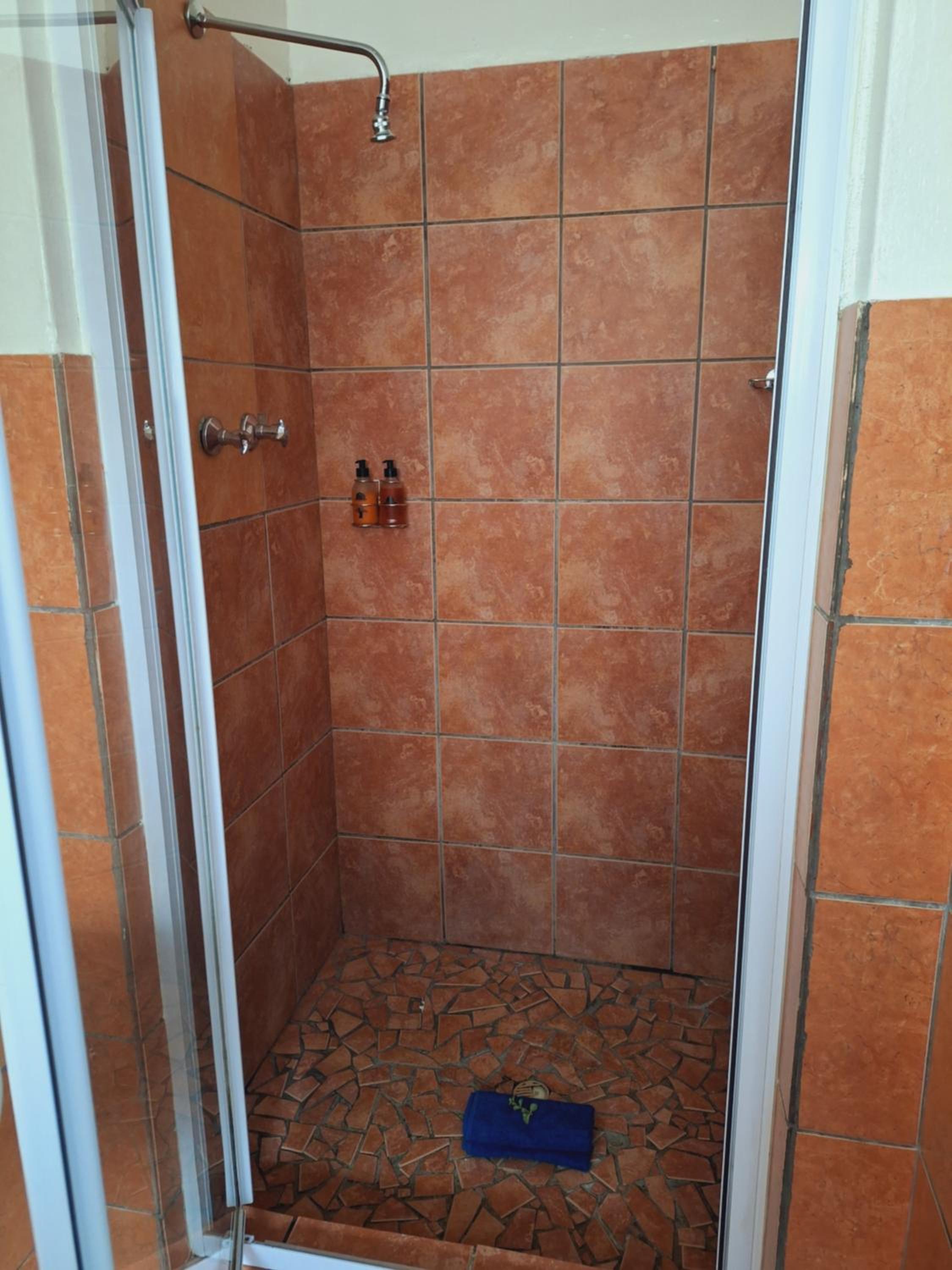 Apartment - Photo 8