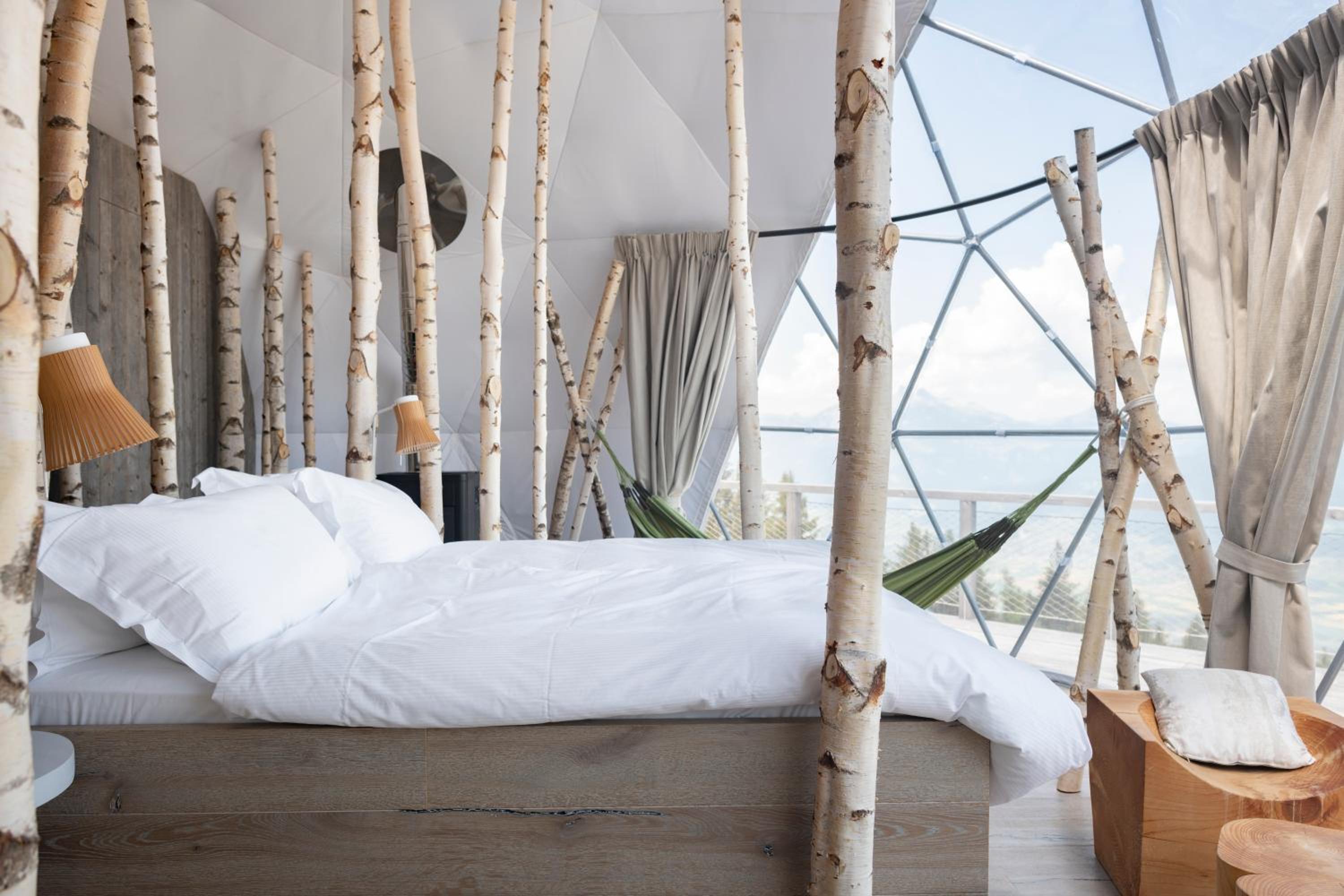 Forest Pod Suite