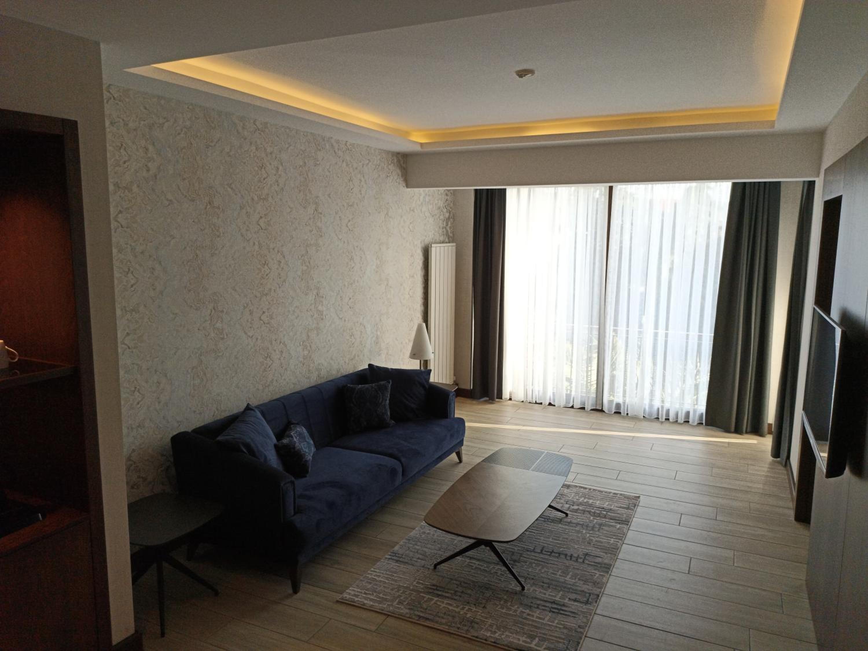 Deluxe Suite - Photo 7