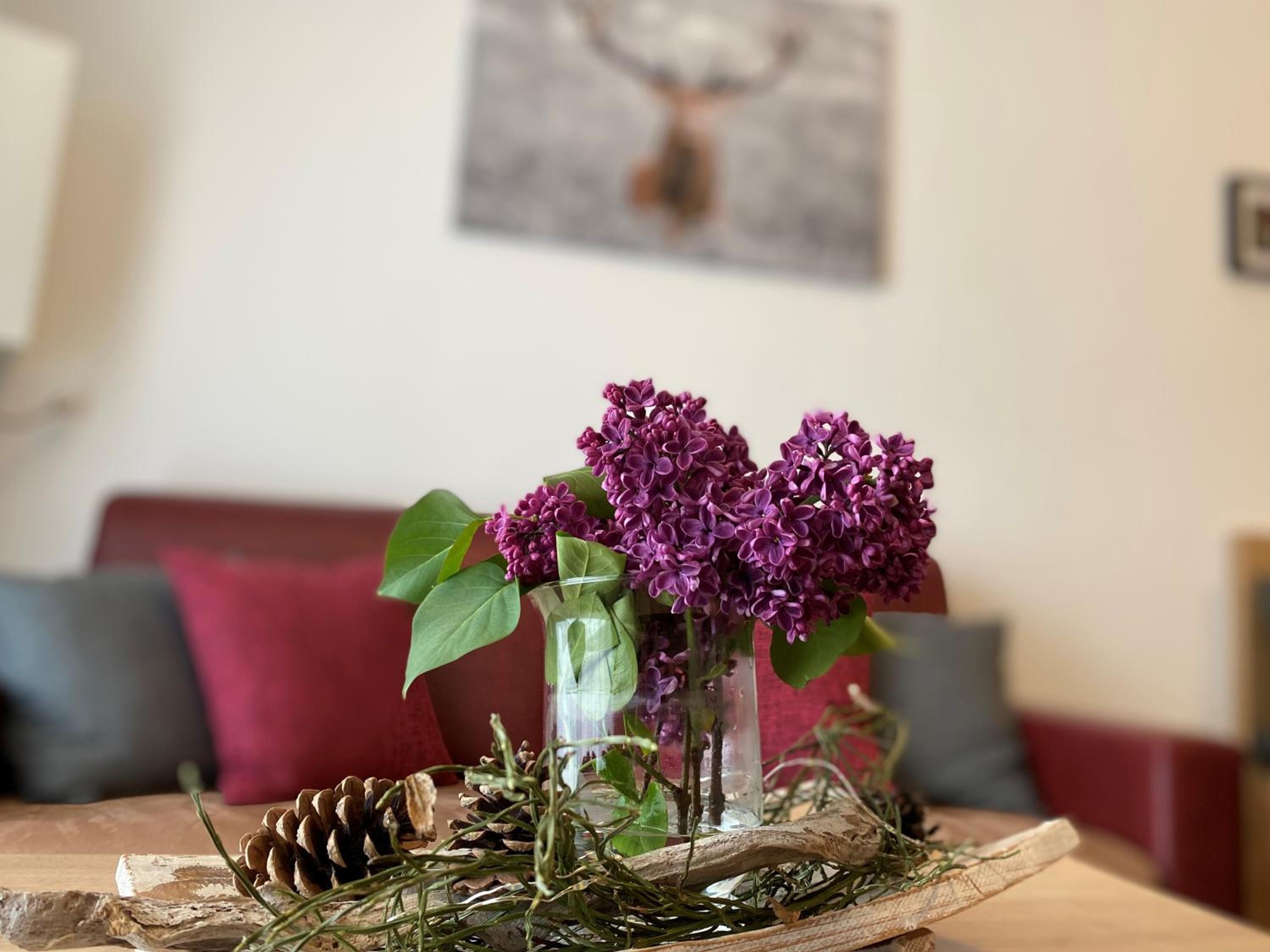 Apartment with Terrace photo 3