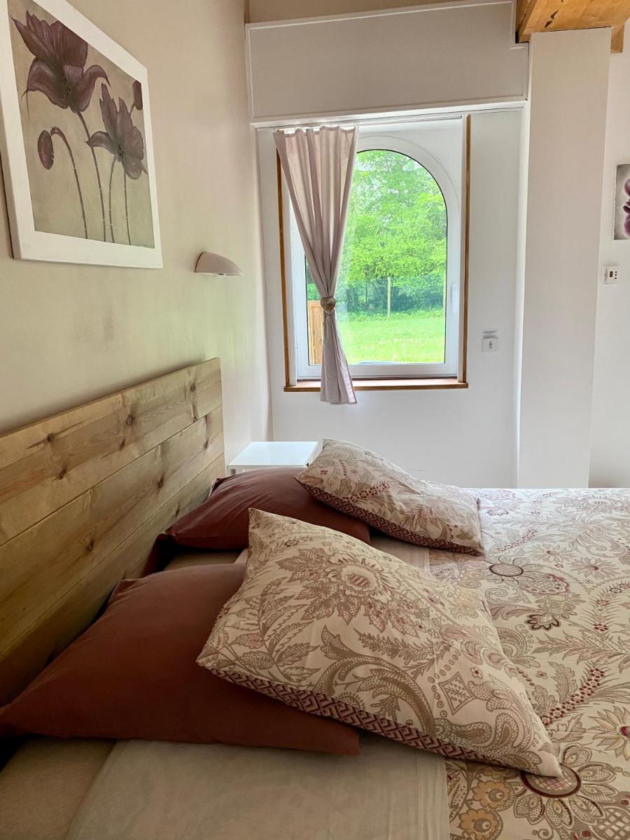 Double or Twin Room photo 3