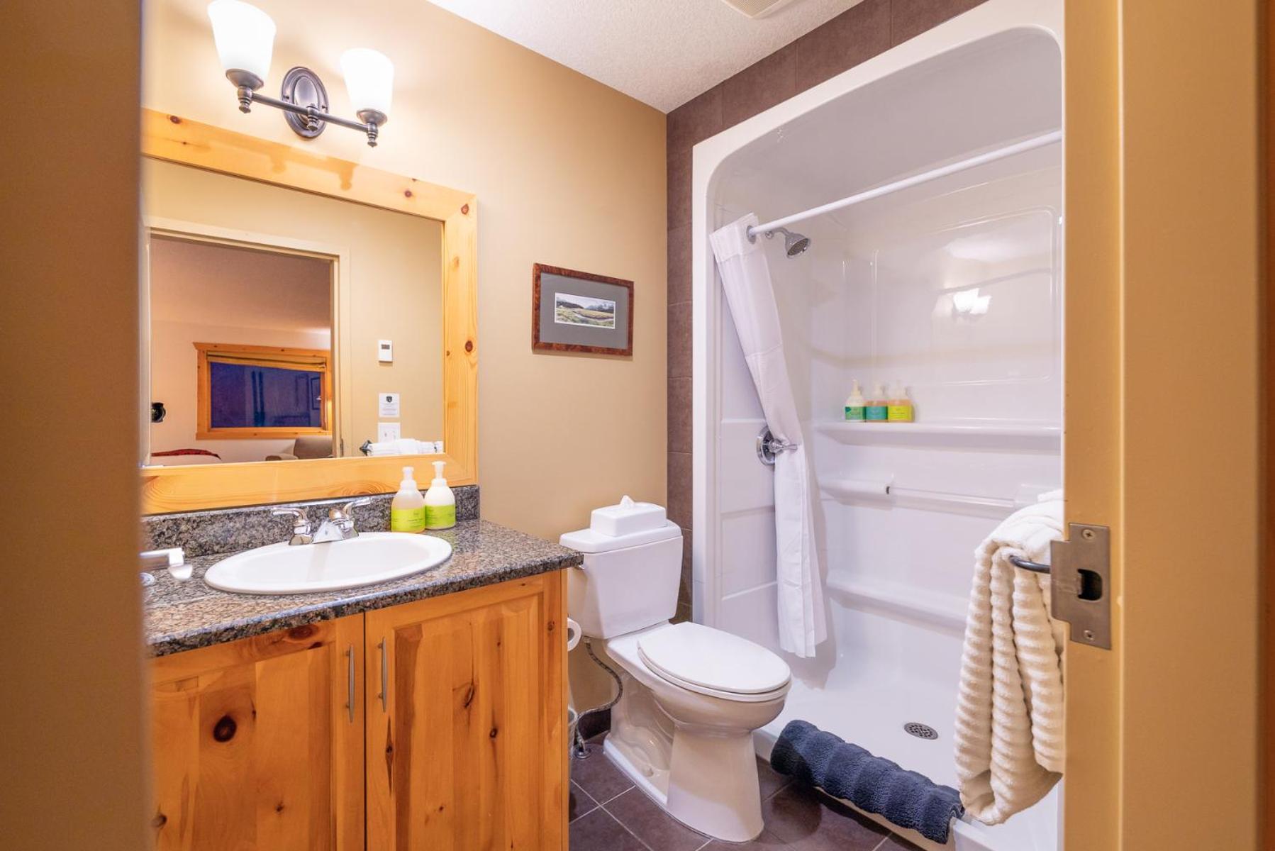 Superior Double or Twin Room with Mountain View photo 2