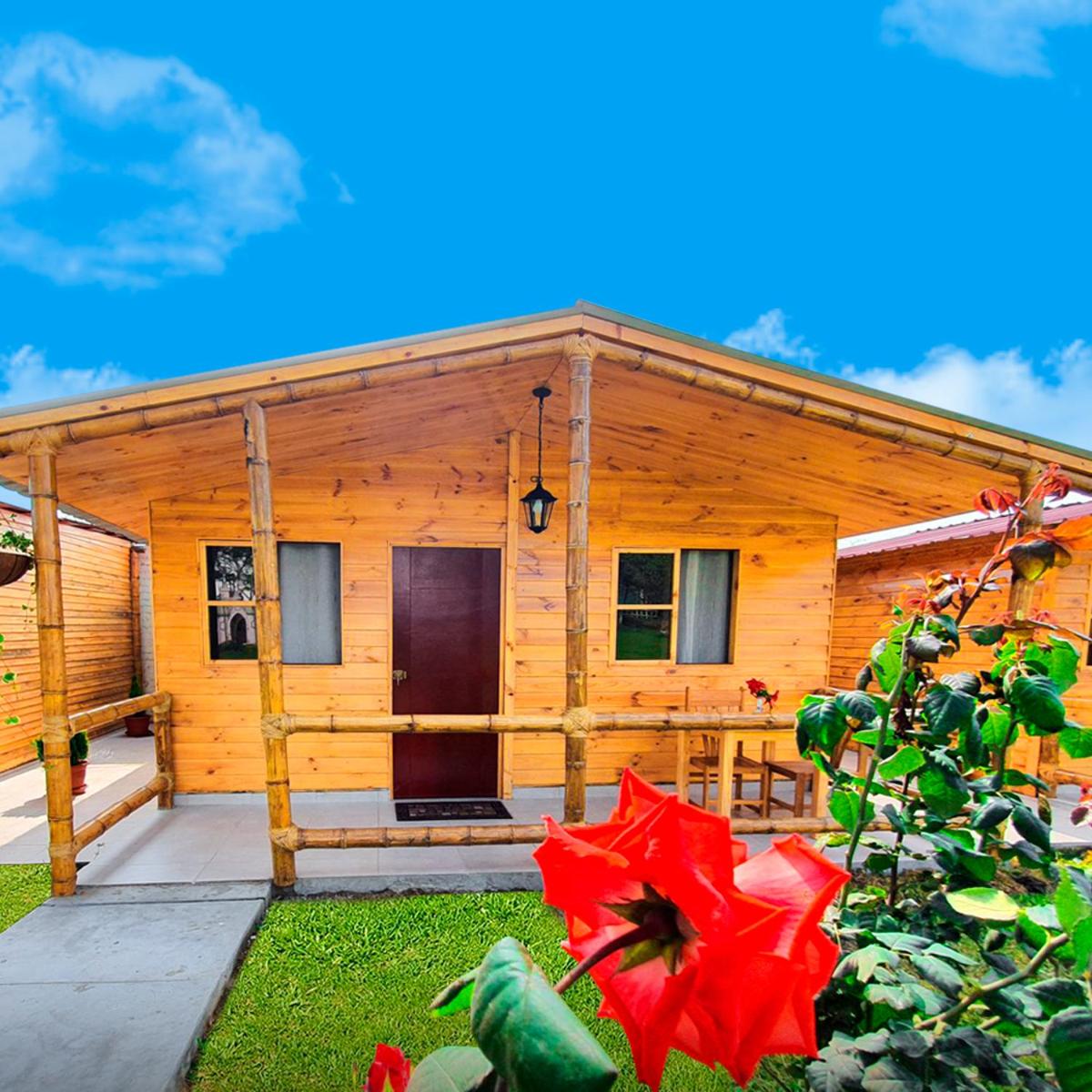 One-Bedroom Bungalow photo 2