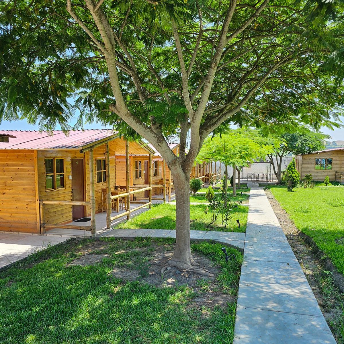 One-Bedroom Bungalow photo 3