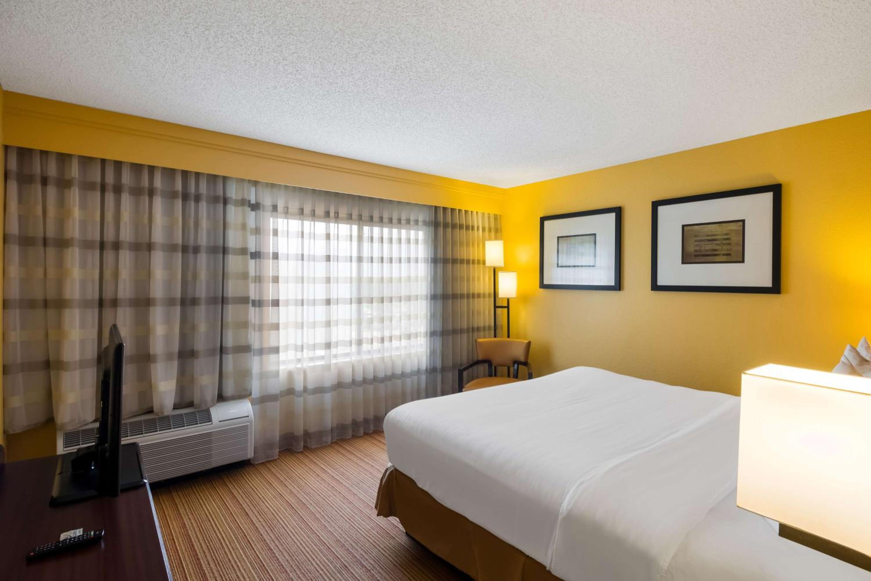 Suite - Photo 3
