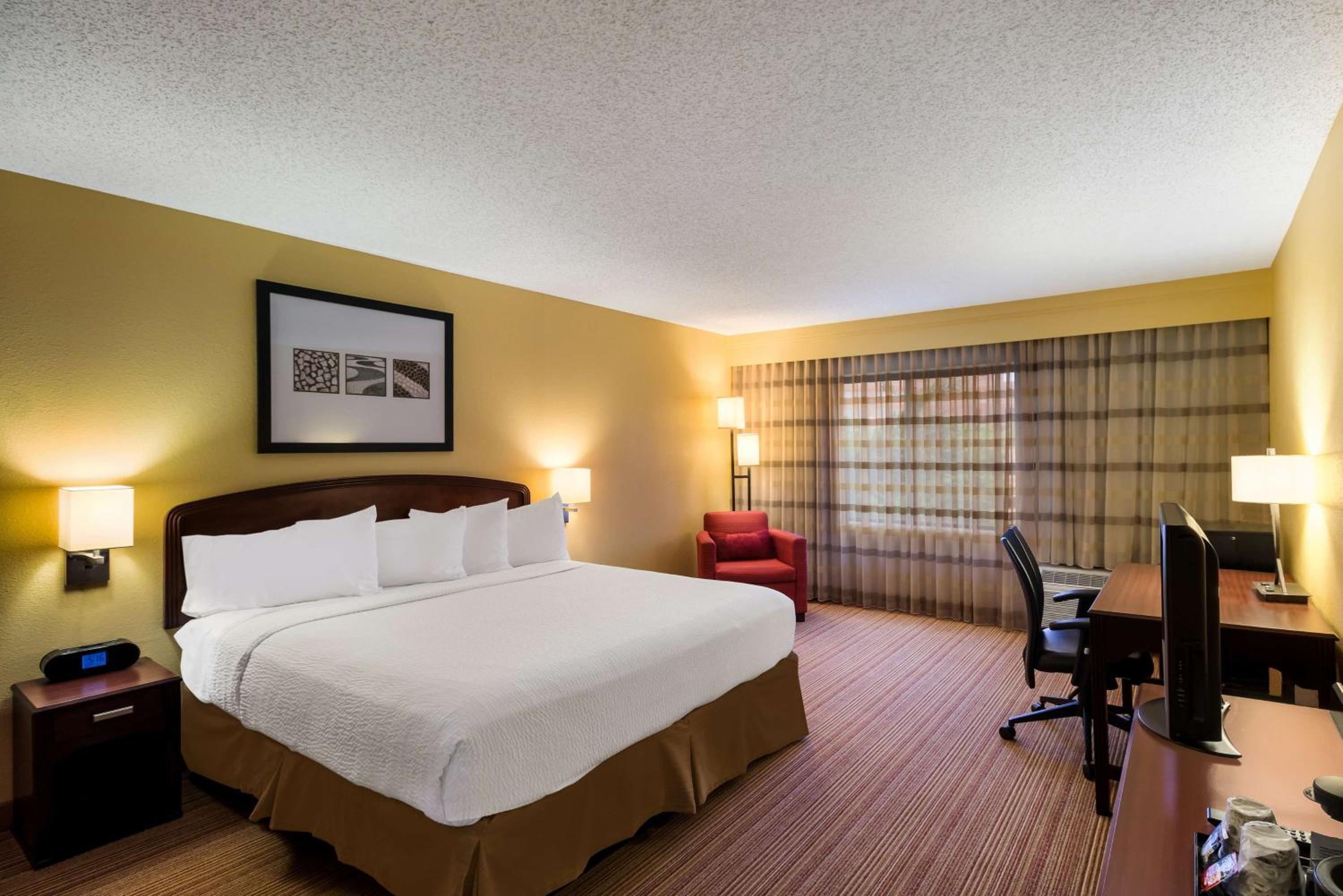 Suite - Photo 5