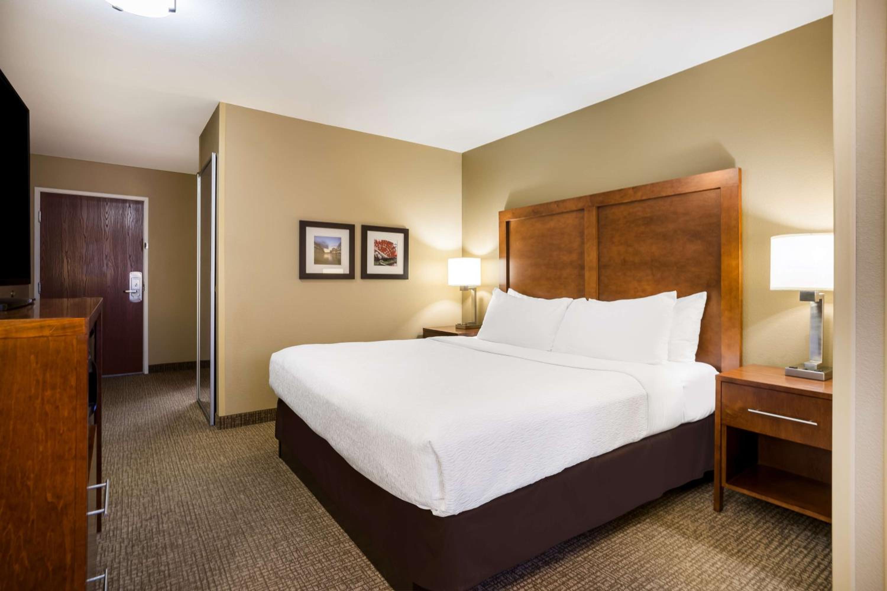 King Suite with Sofa Bed - Photo 1