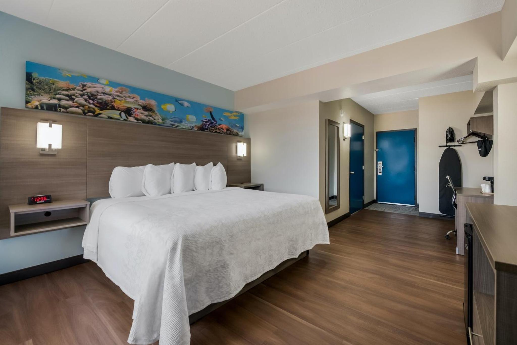  Premium King Room Disability Access with Partial Ocean View Smoke Free - Photo 5
