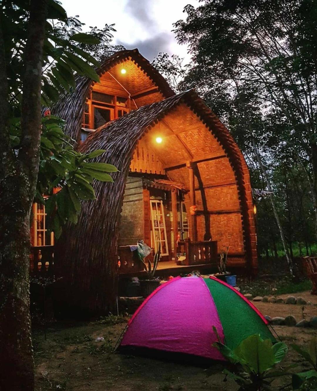 Standard Twin Room with Garden View - Photo 16