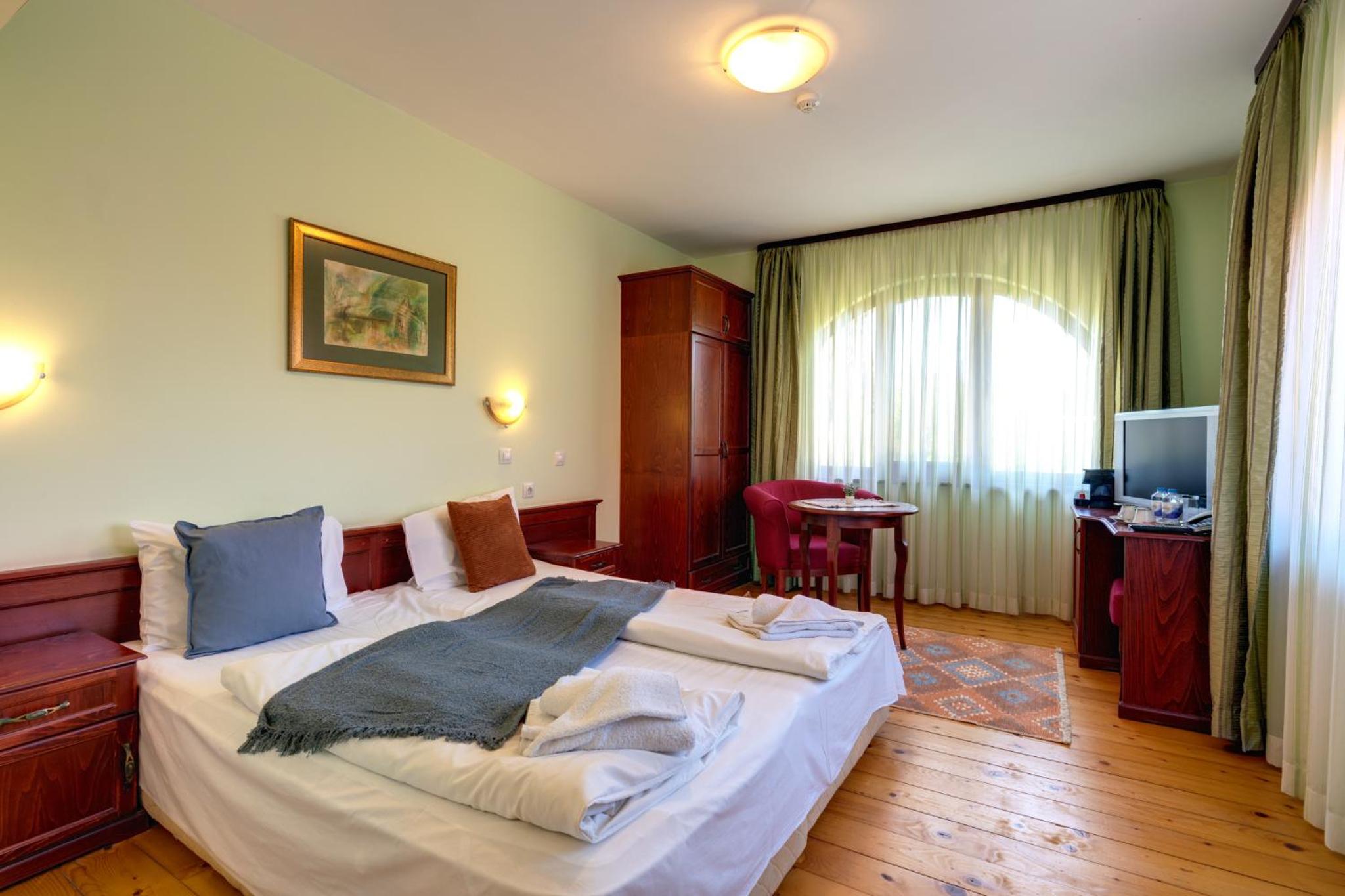 Deluxe Double or Twin Room photo 2