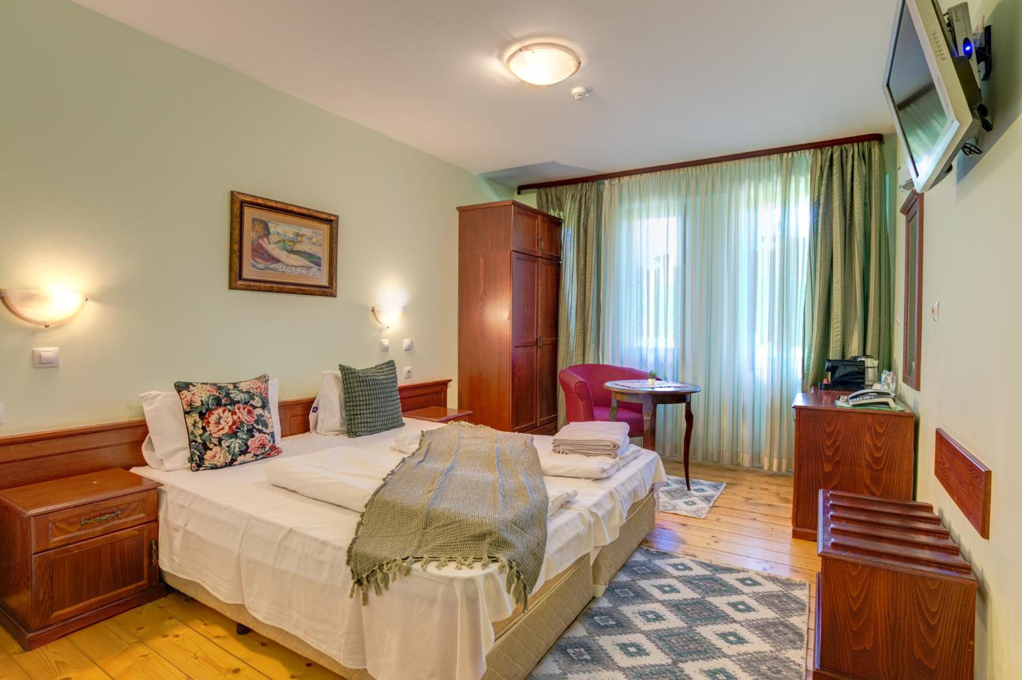 Deluxe Double or Twin Room photo 3