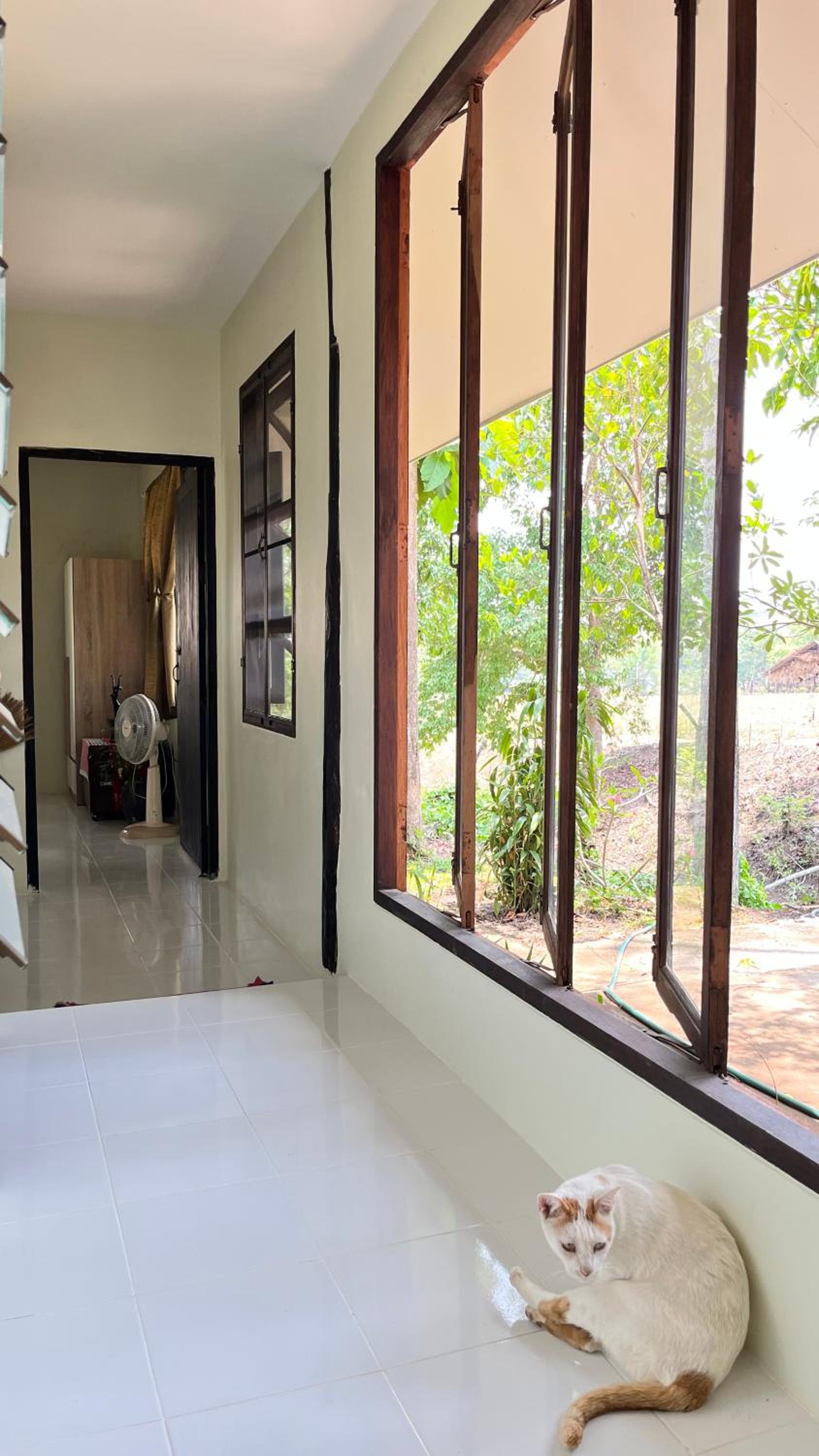 Family Bungalow photo 1