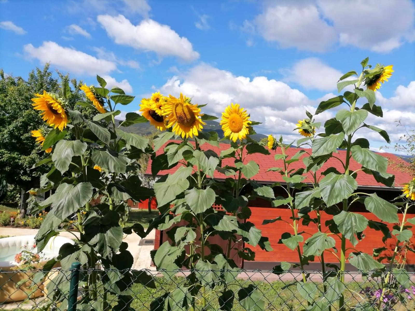 Vacation Home - Photo 28