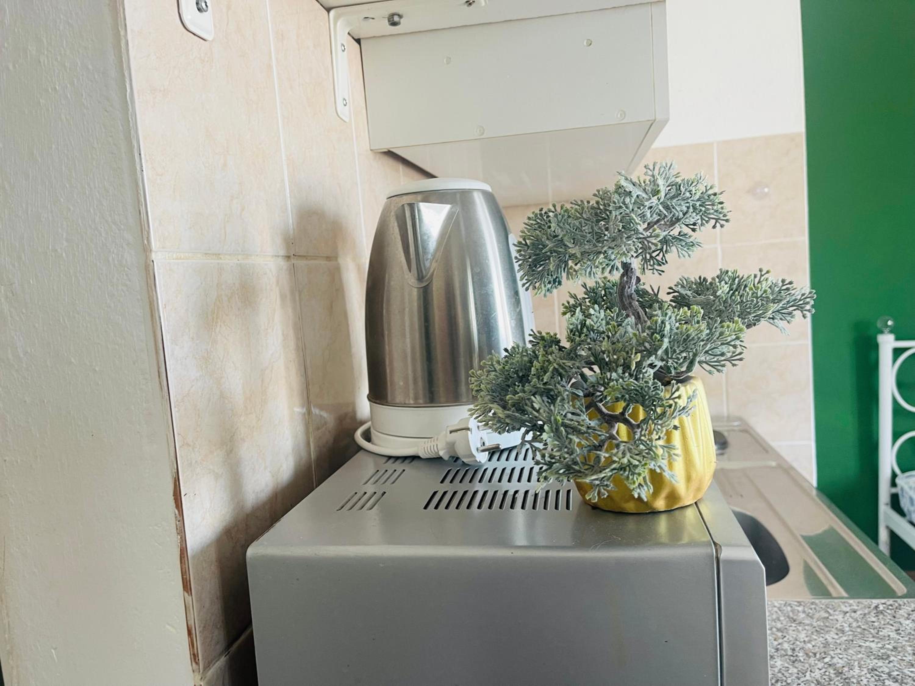 Studio Apartment with Sea View photo 3