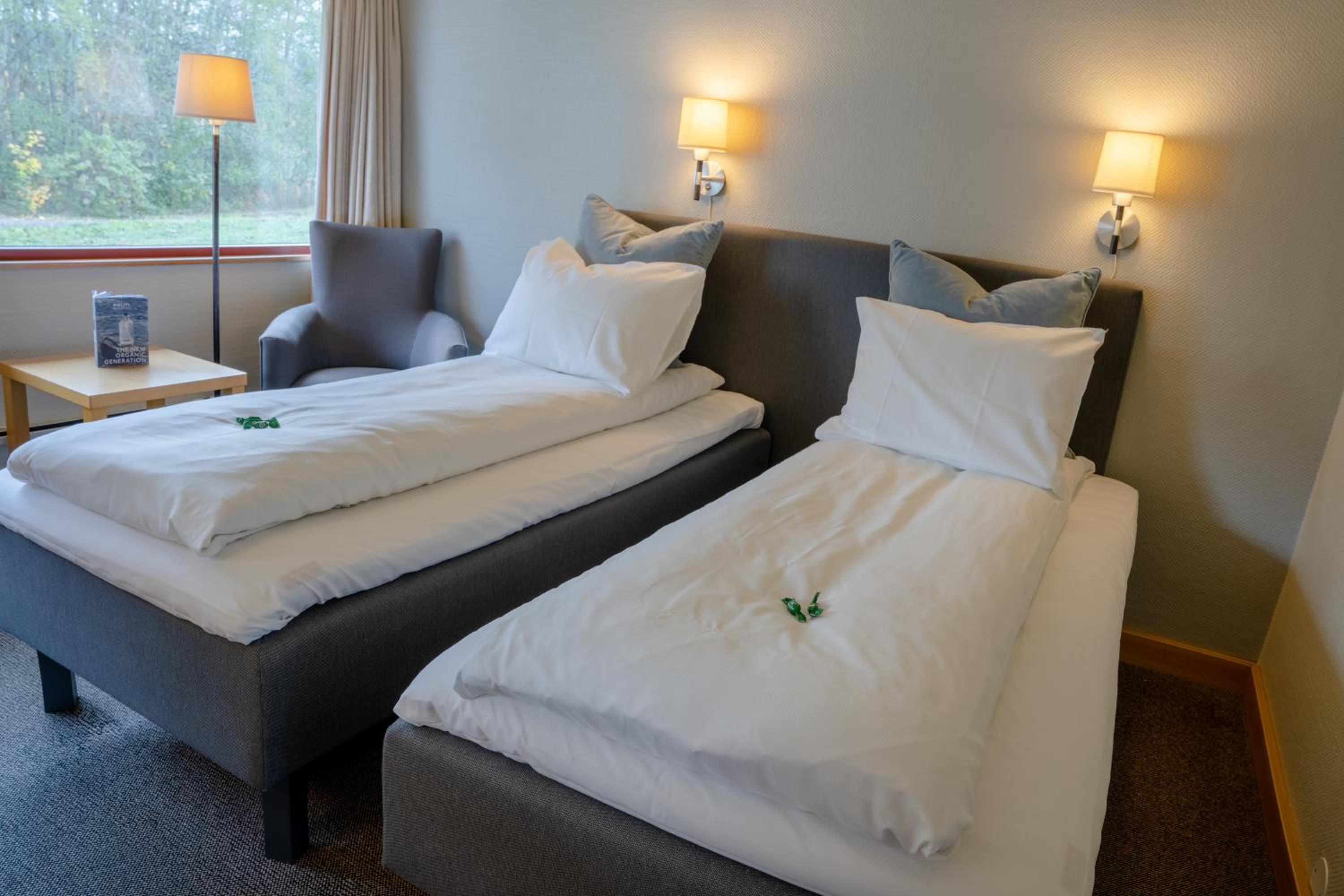 Standard Twin Room (begrenset utsikt) - Photo 3