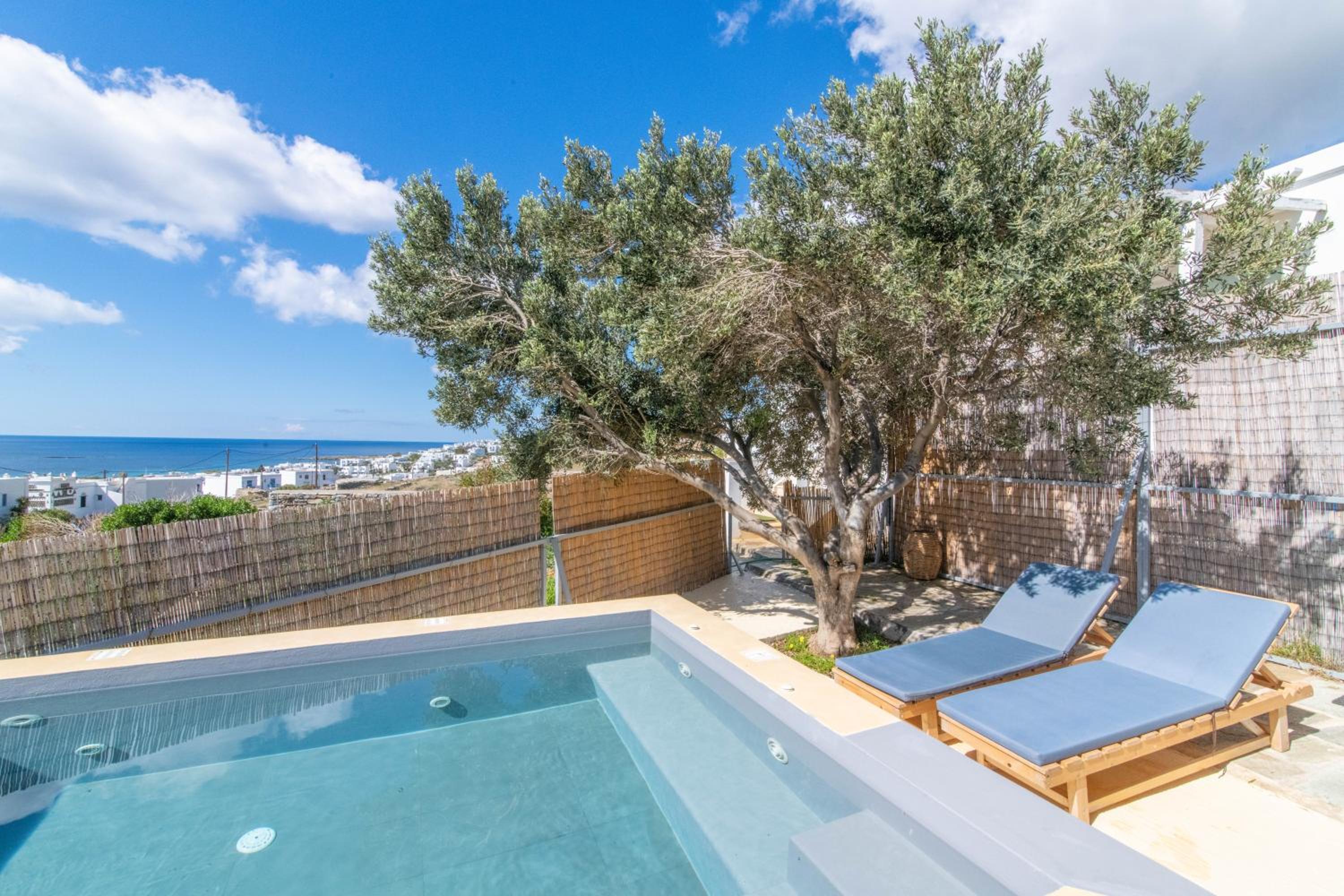 Villa with Private Pool photo 3