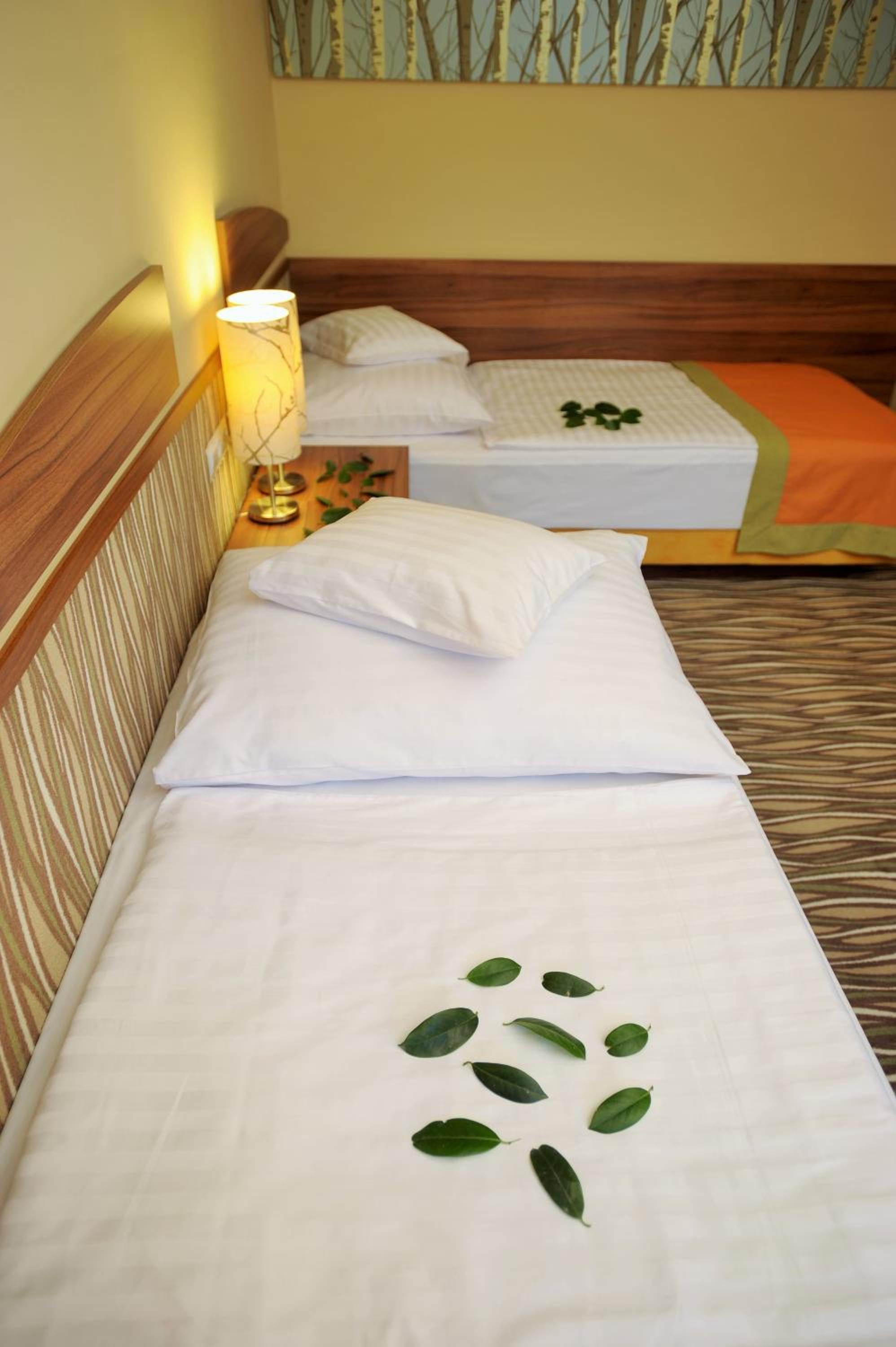 Standard Twin Room photo 1