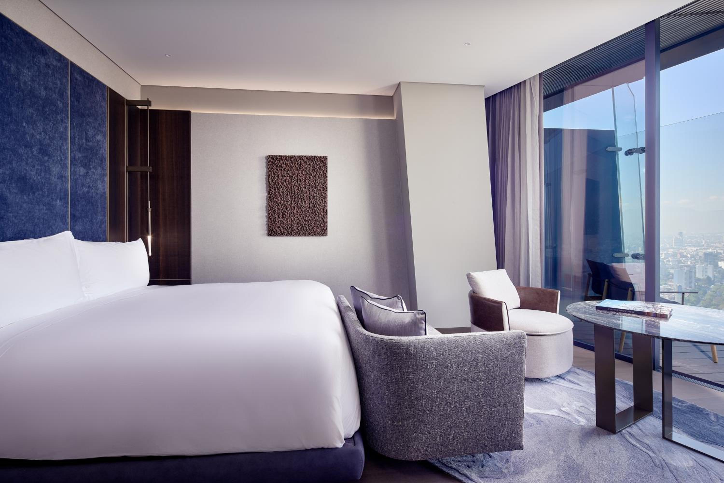 Deluxe King Room with Park View - Club Lounge Access