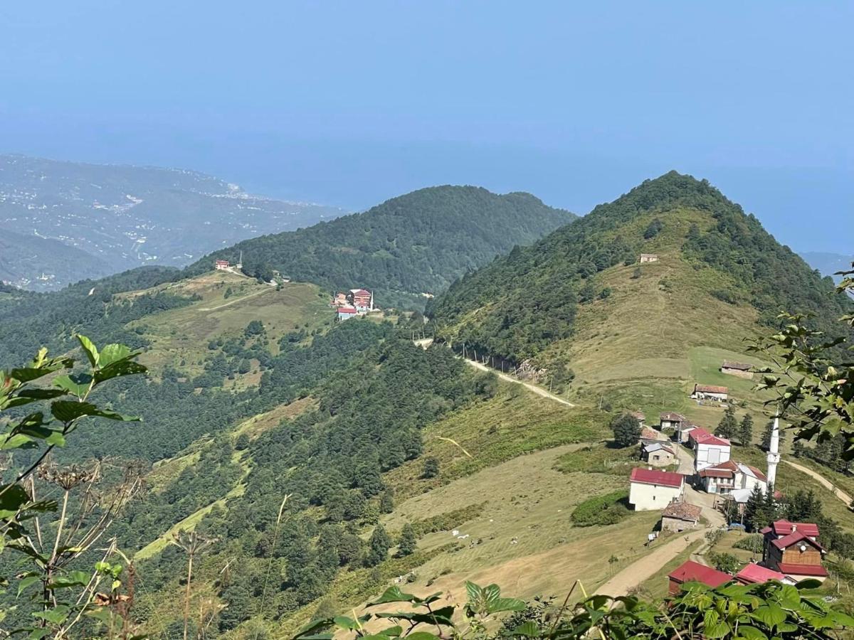 Studio with Mountain View photo 1