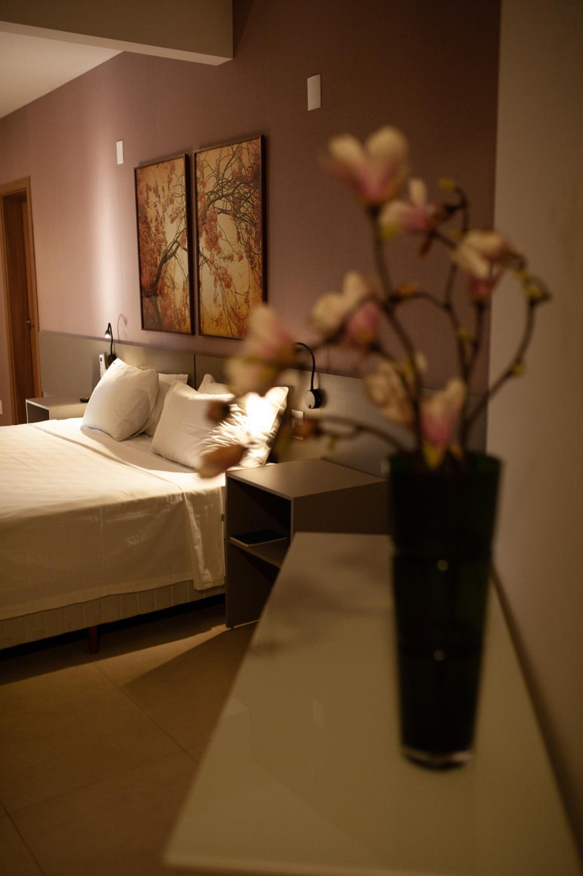 Deluxe Queen Room photo 1
