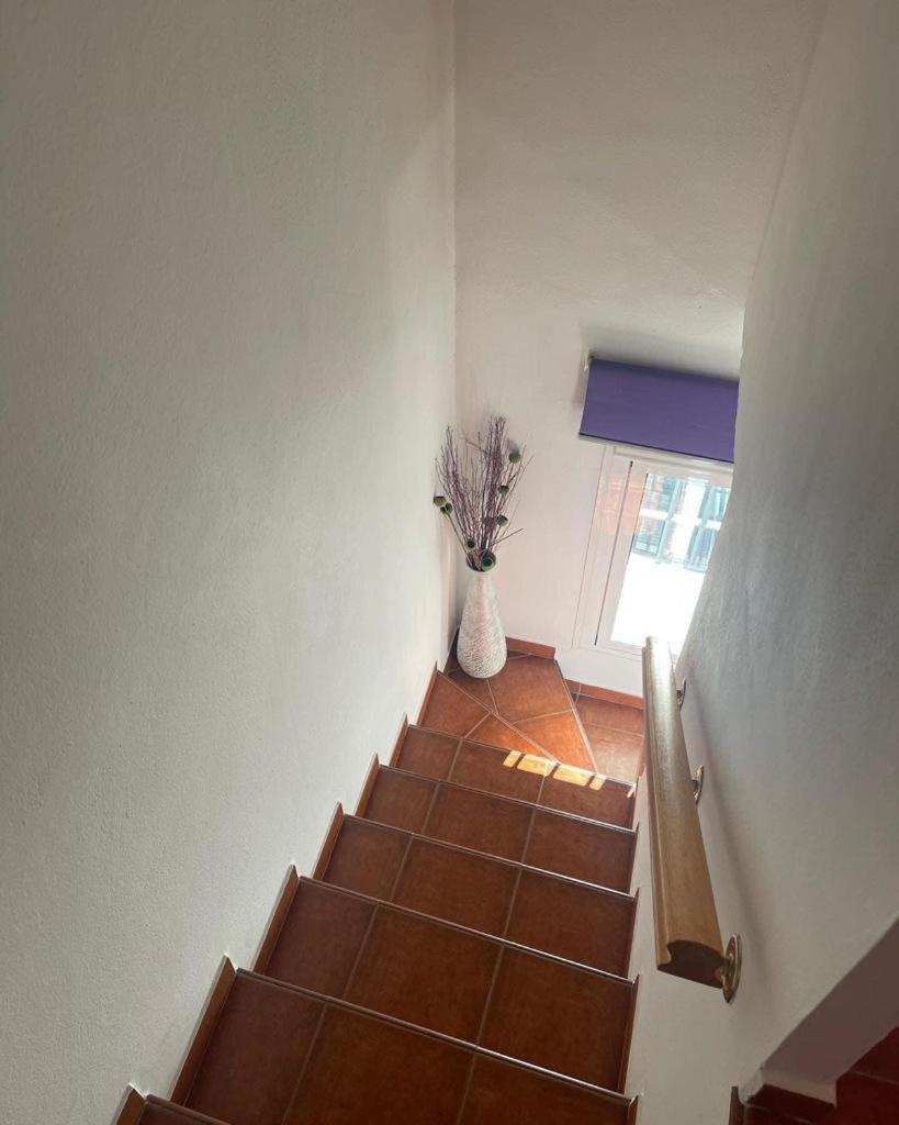 One-Bedroom House photo 2