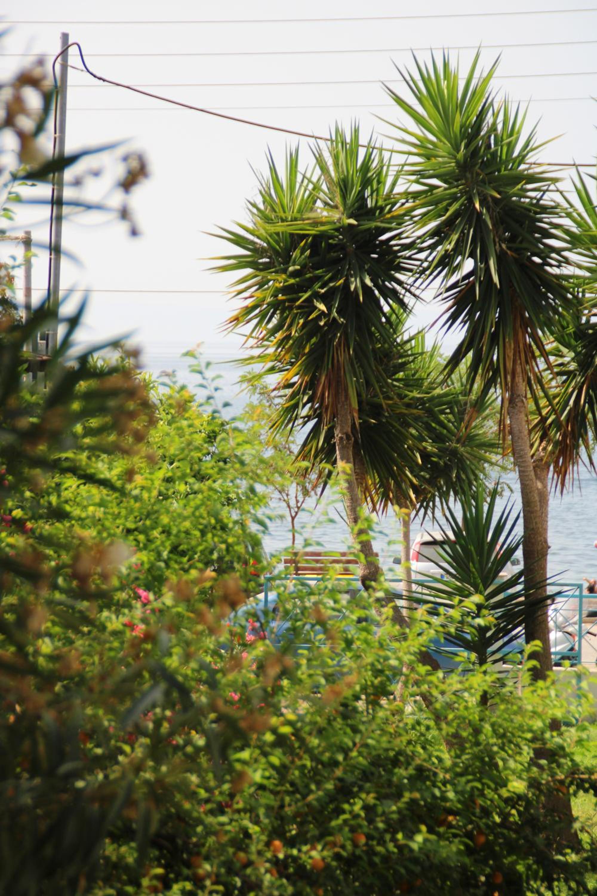 Apartment with Sea View photo 2