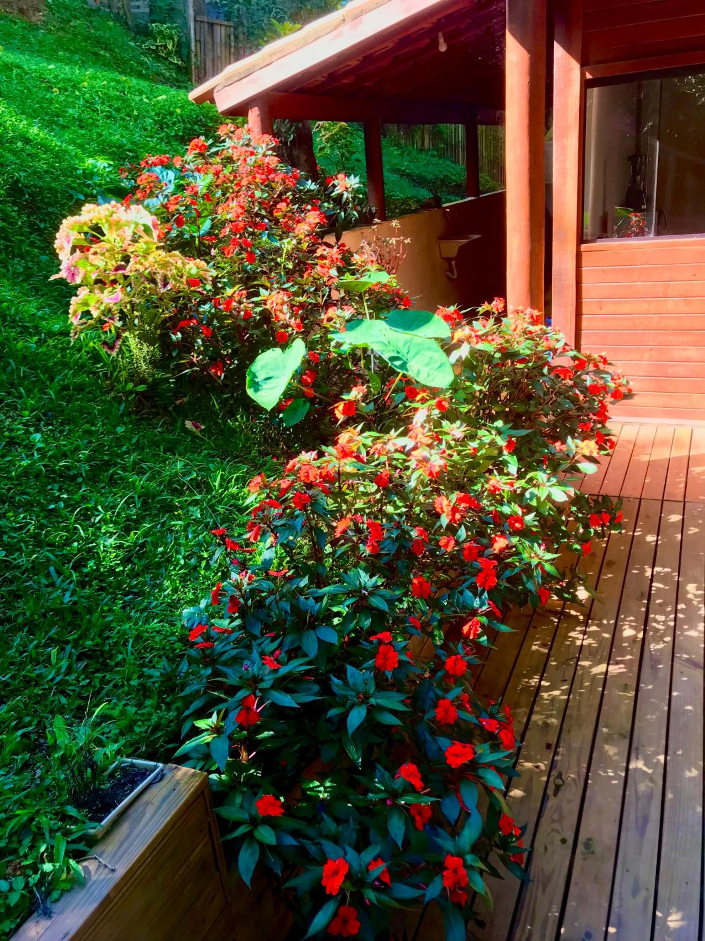 Chalet - Photo 30