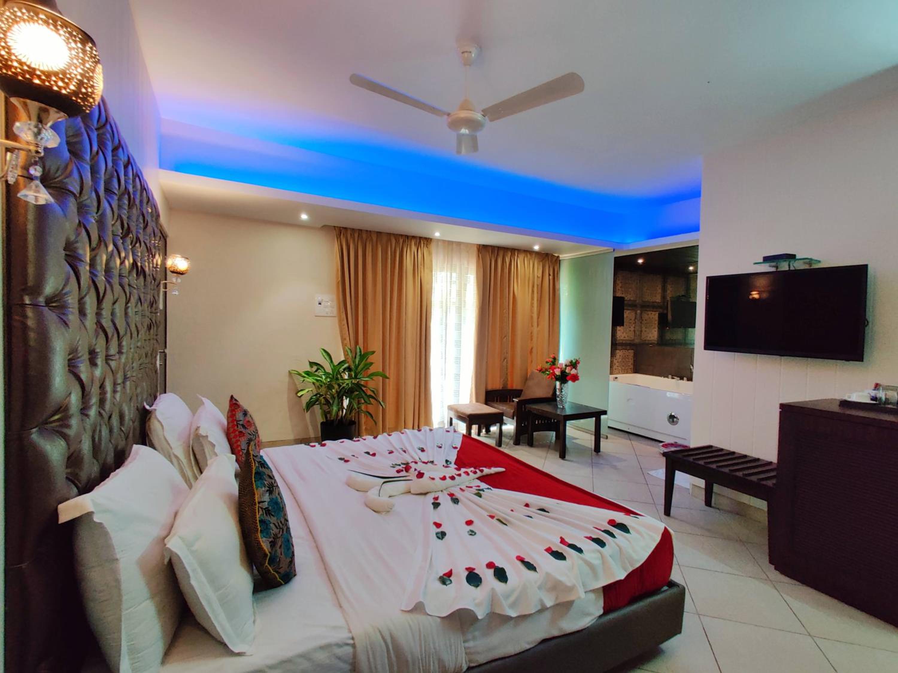 Luxury Suite - Photo 7