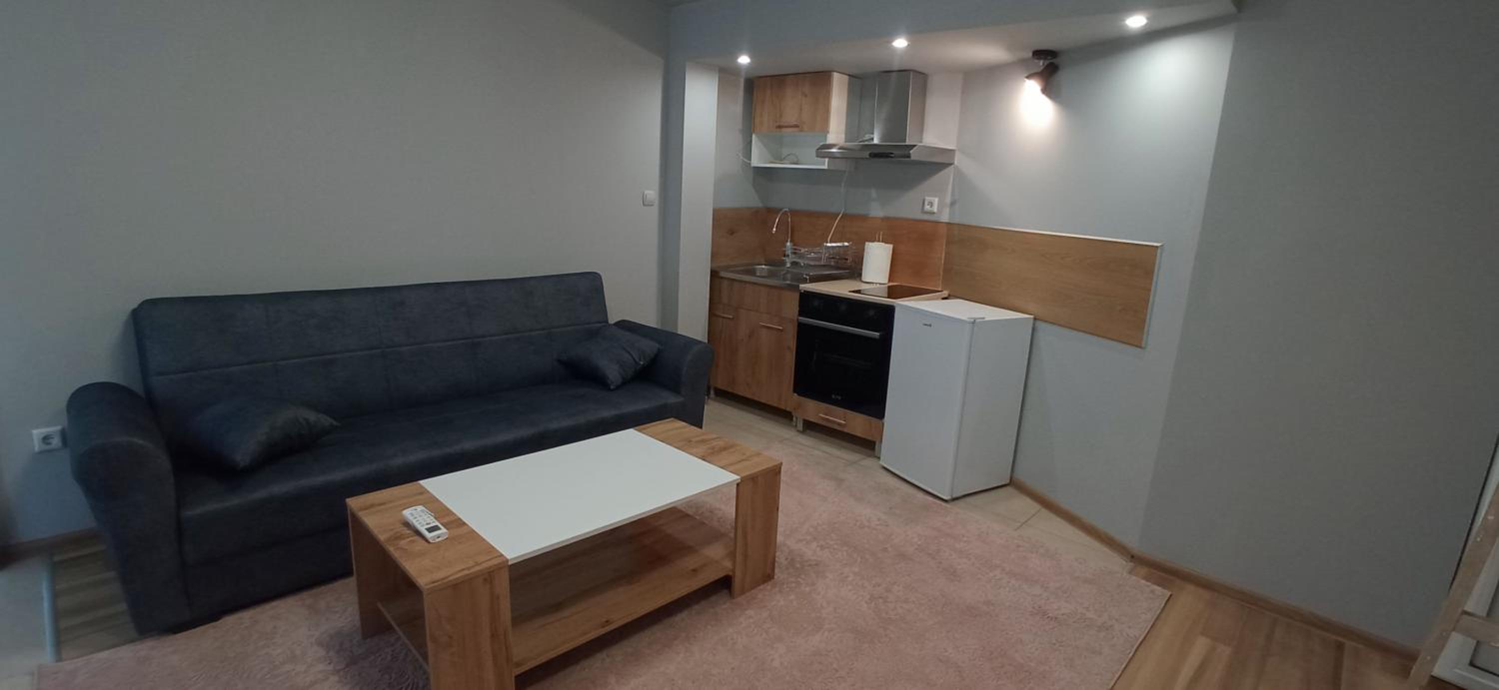One-Bedroom Apartment photo 2
