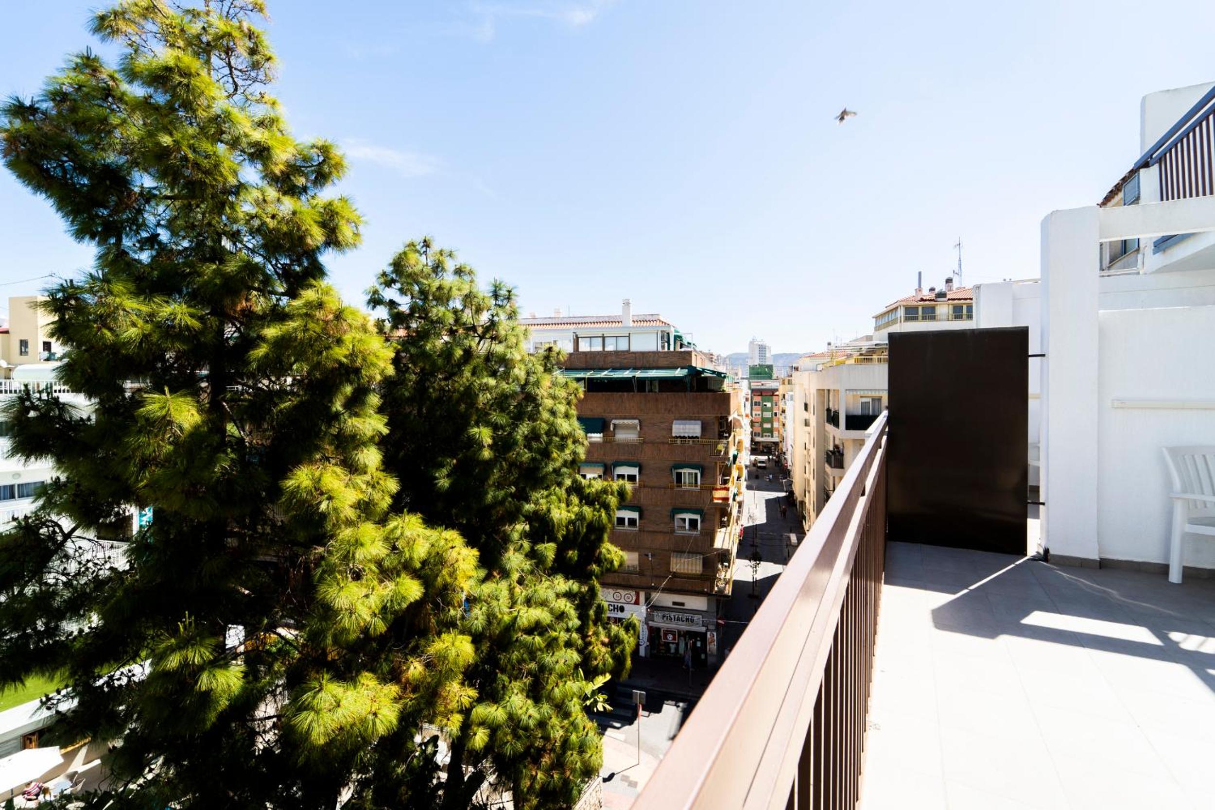 Single Room with Terrace photo 3