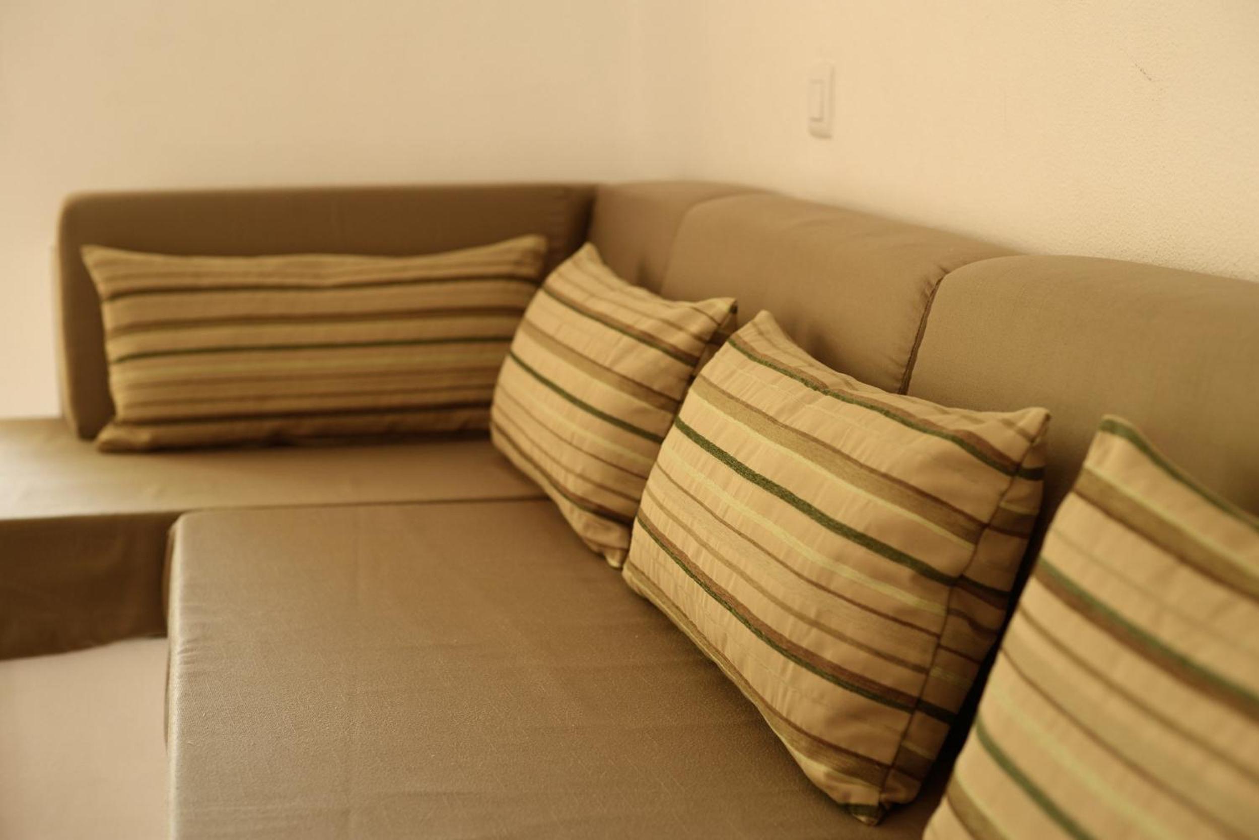 Basic One-Bedroom Apartment photo 2