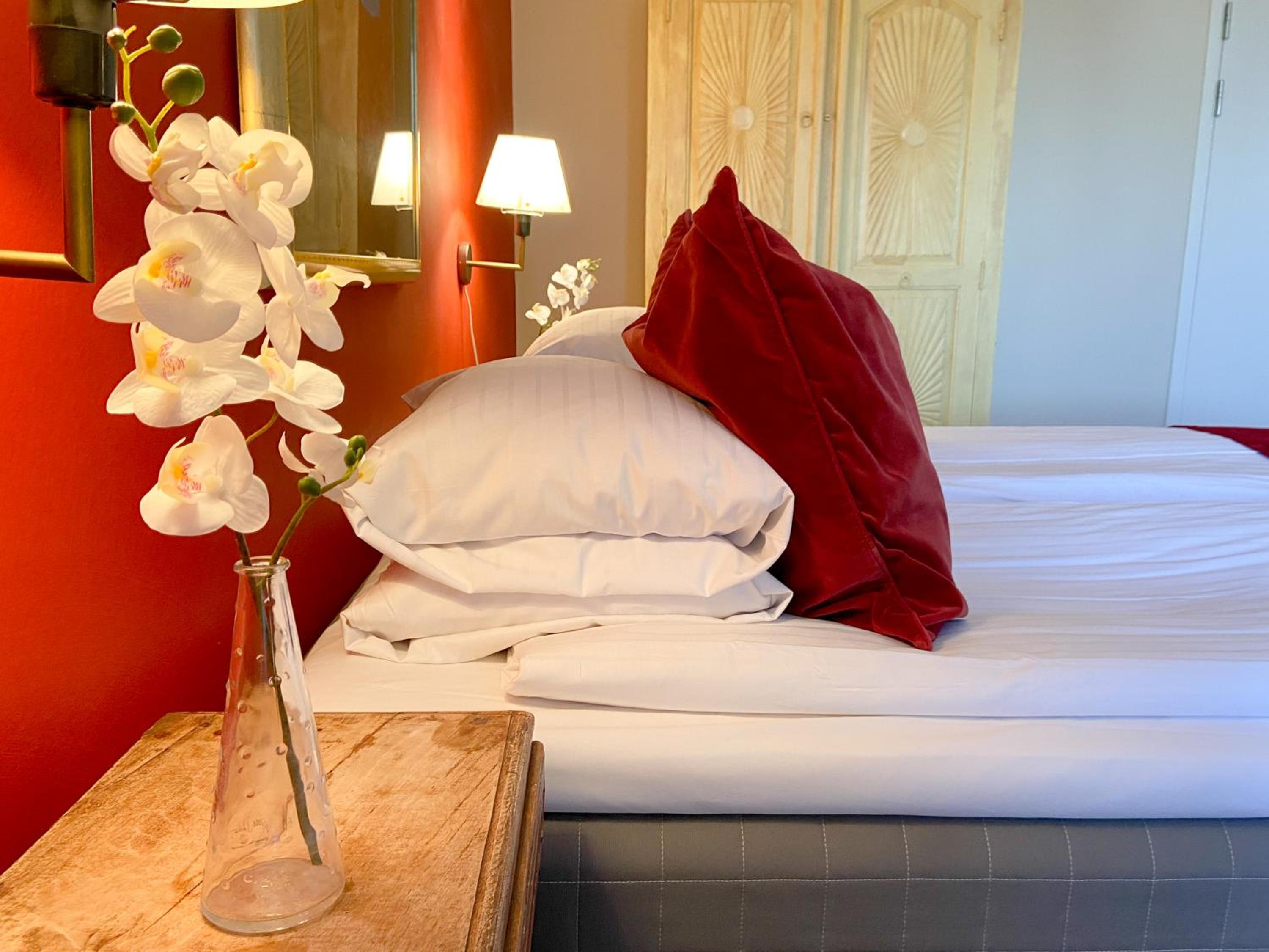 Suite - Photo 2