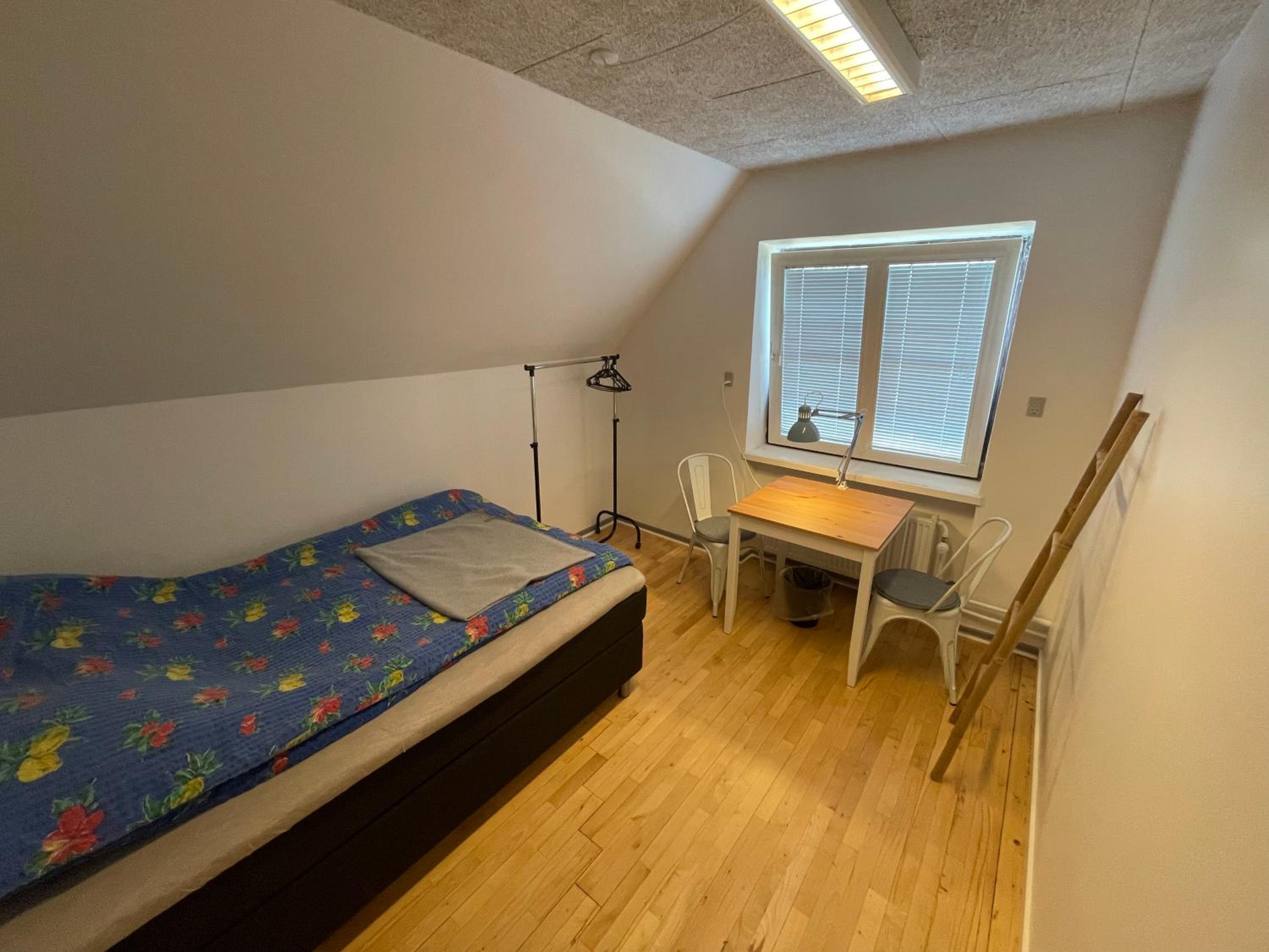 Single Room photo 1