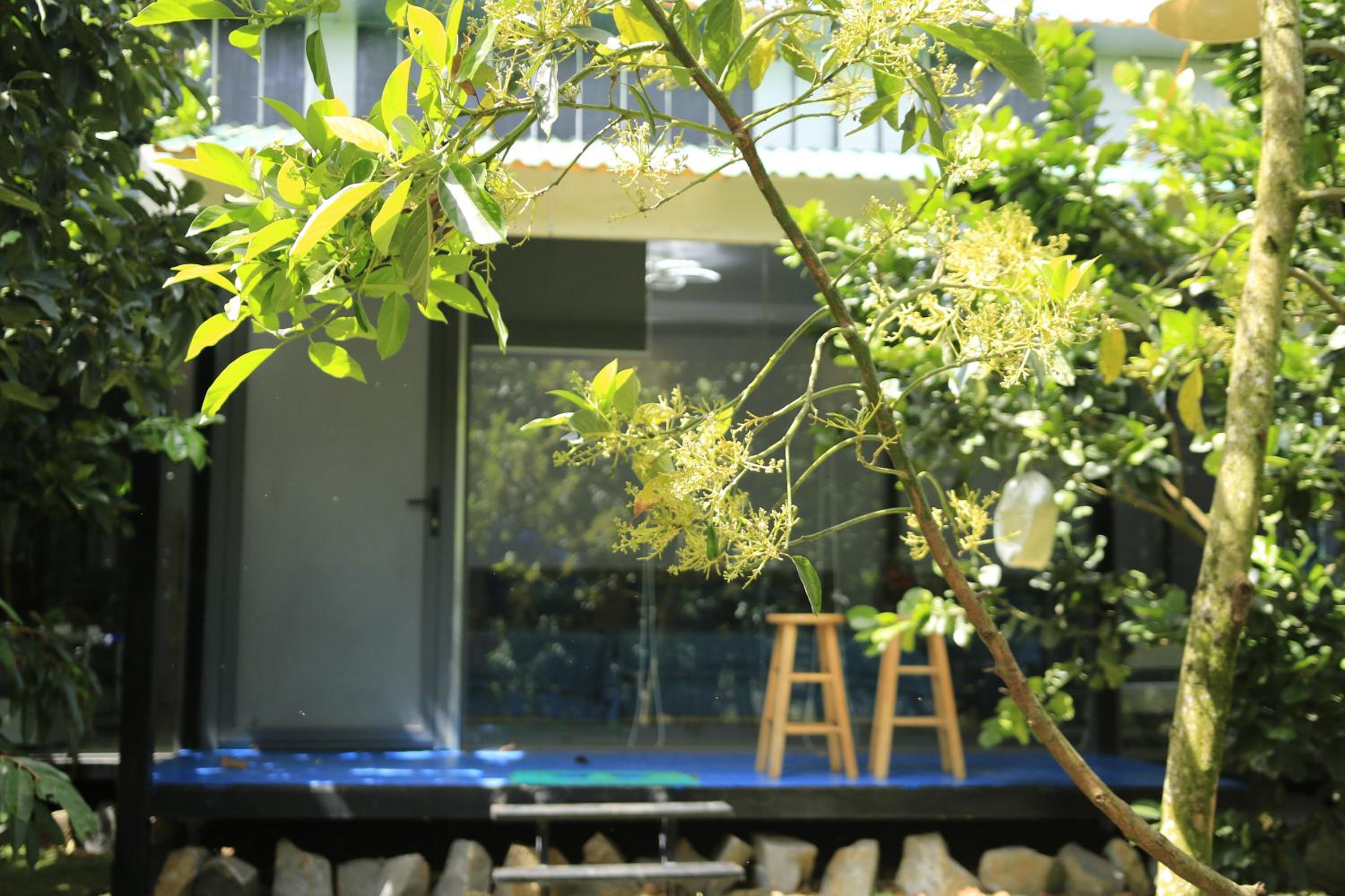 Bungalow with Garden View photo 3