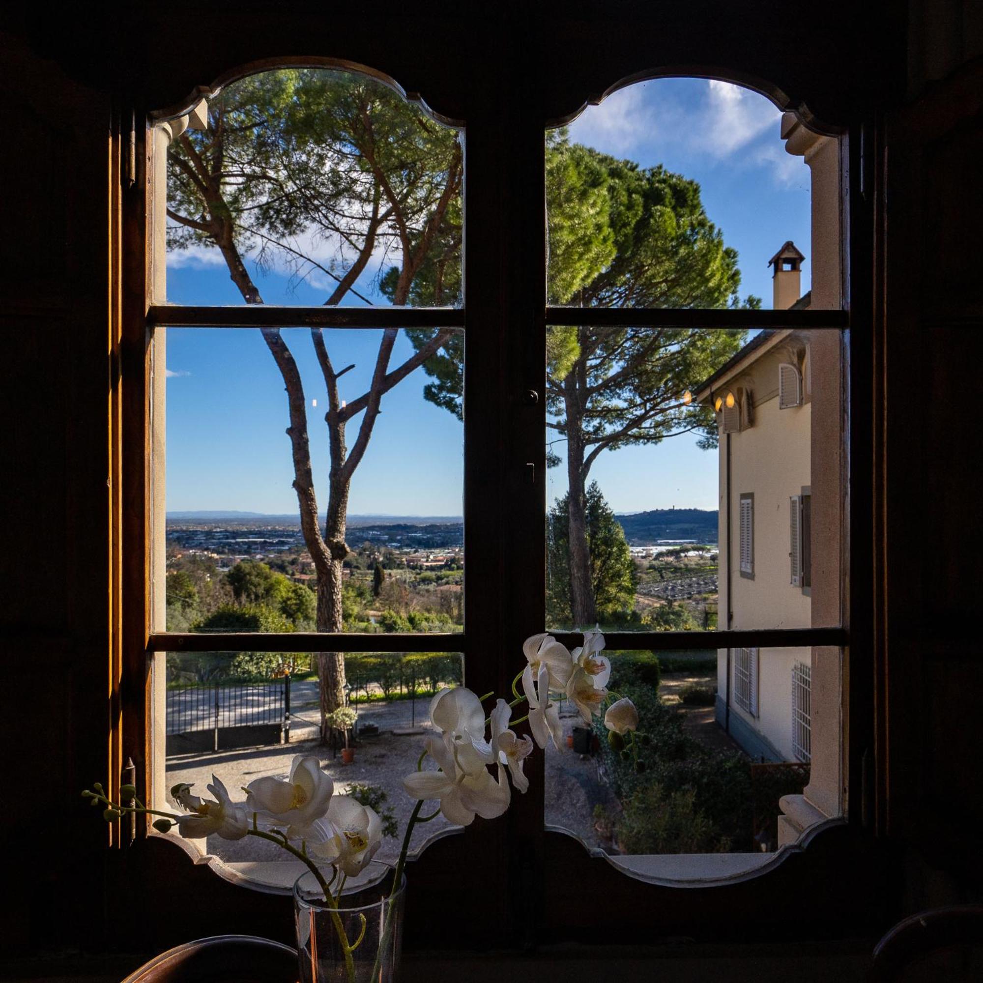 Standard Villa photo 2