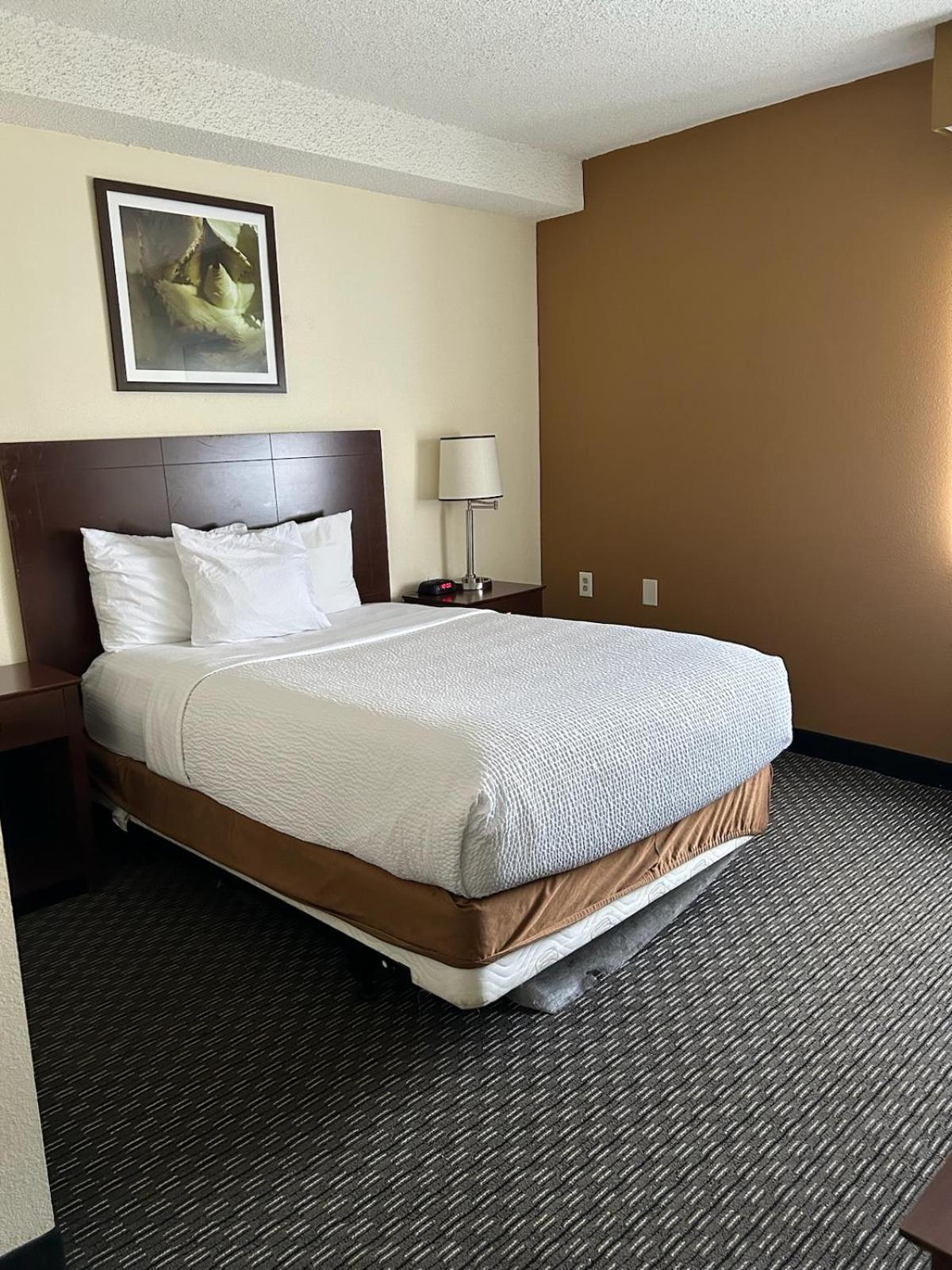 Baymont by Wyndham Orlando South, 사진 2