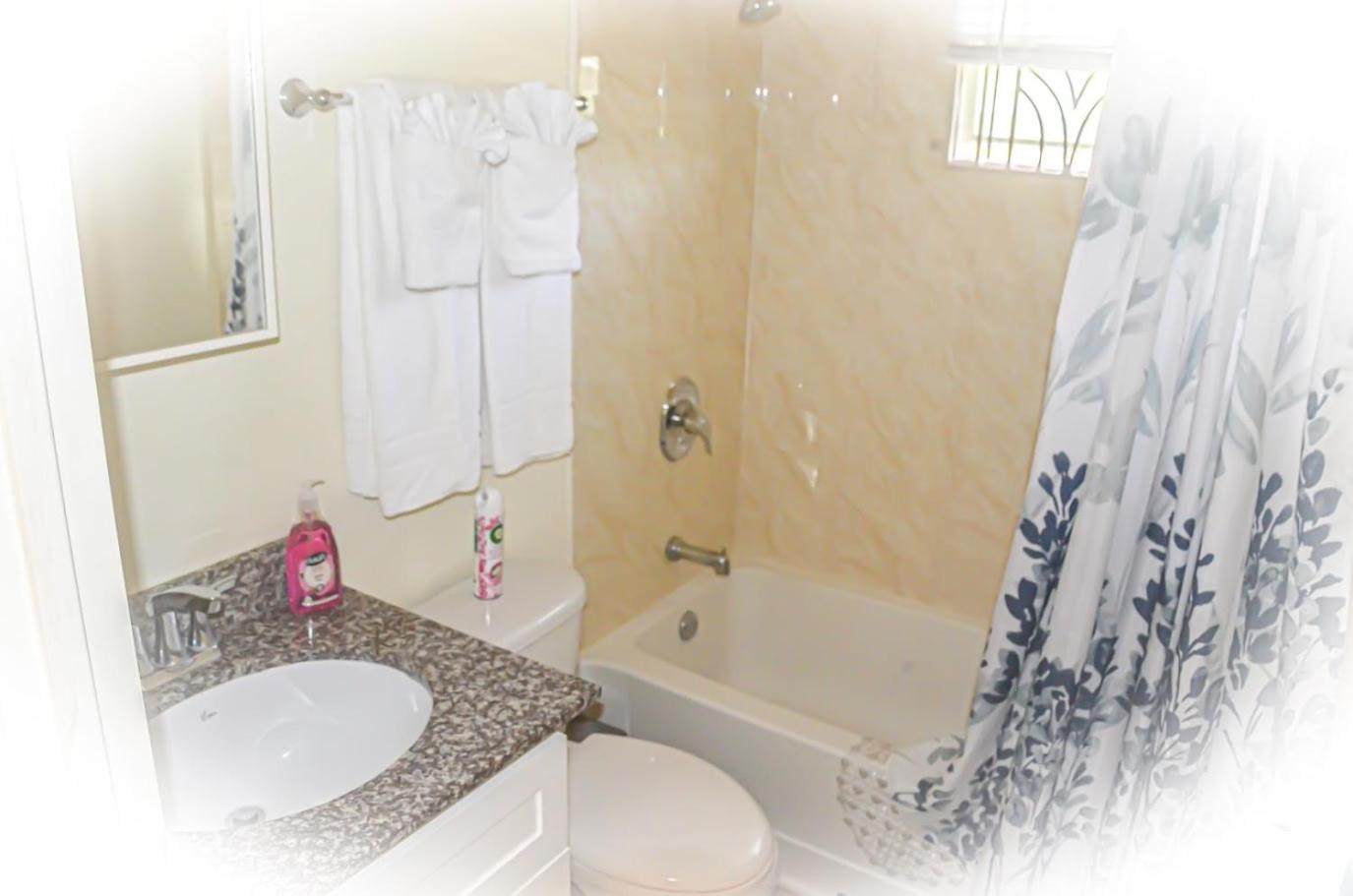 Three-Bedroom House photo 3