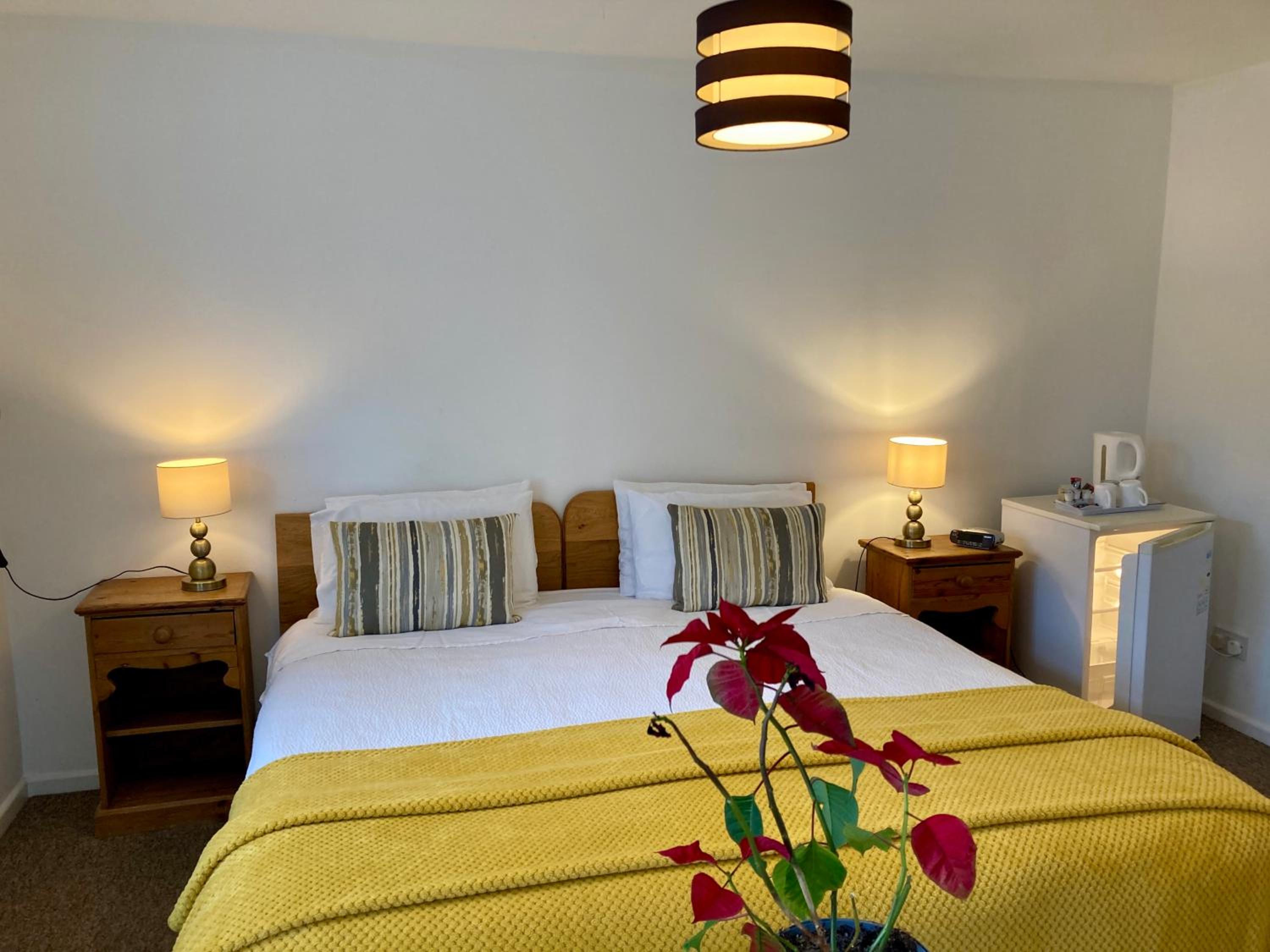 Deluxe Double Room photo 3