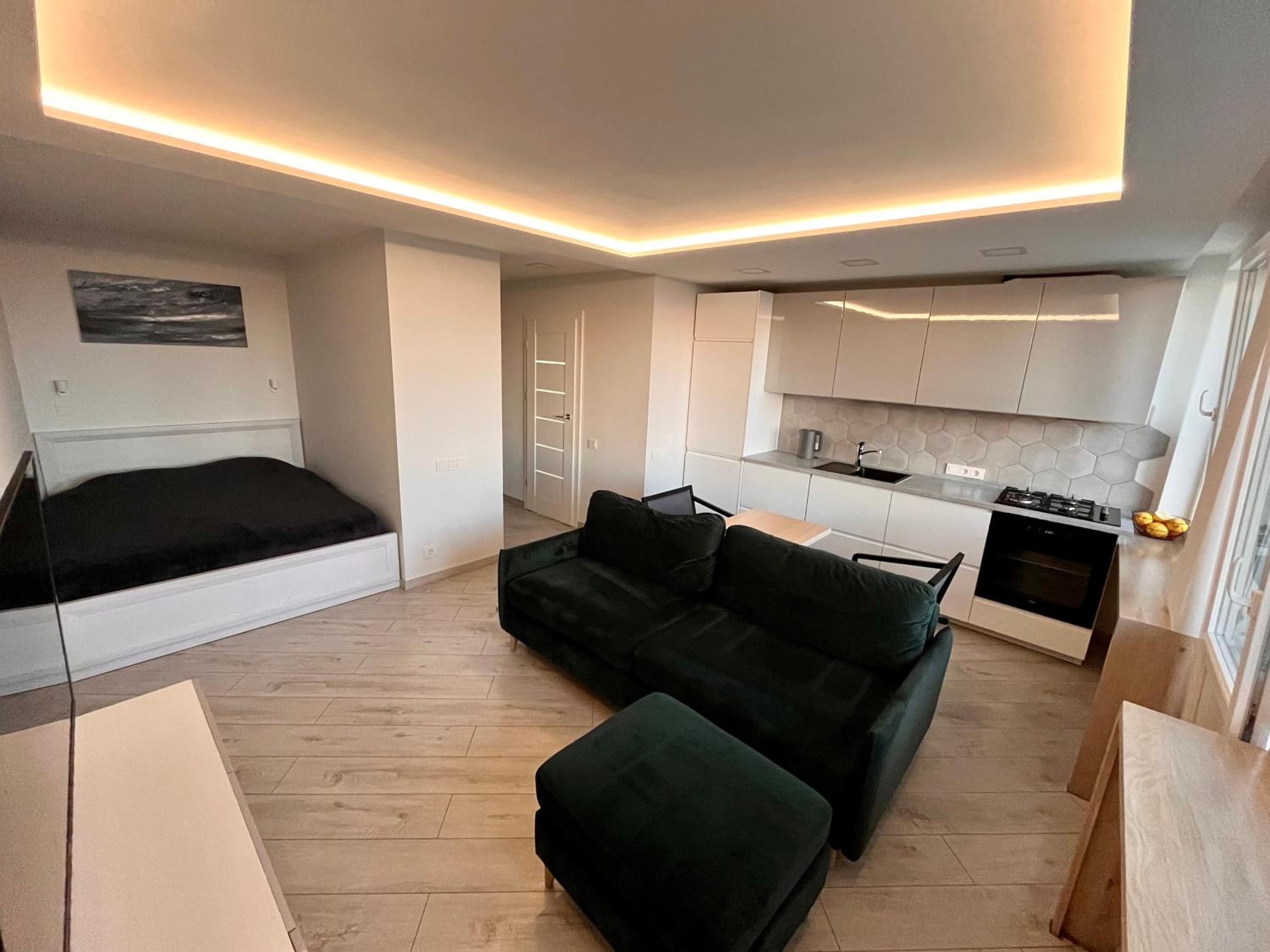 One-Bedroom Apartment photo 3