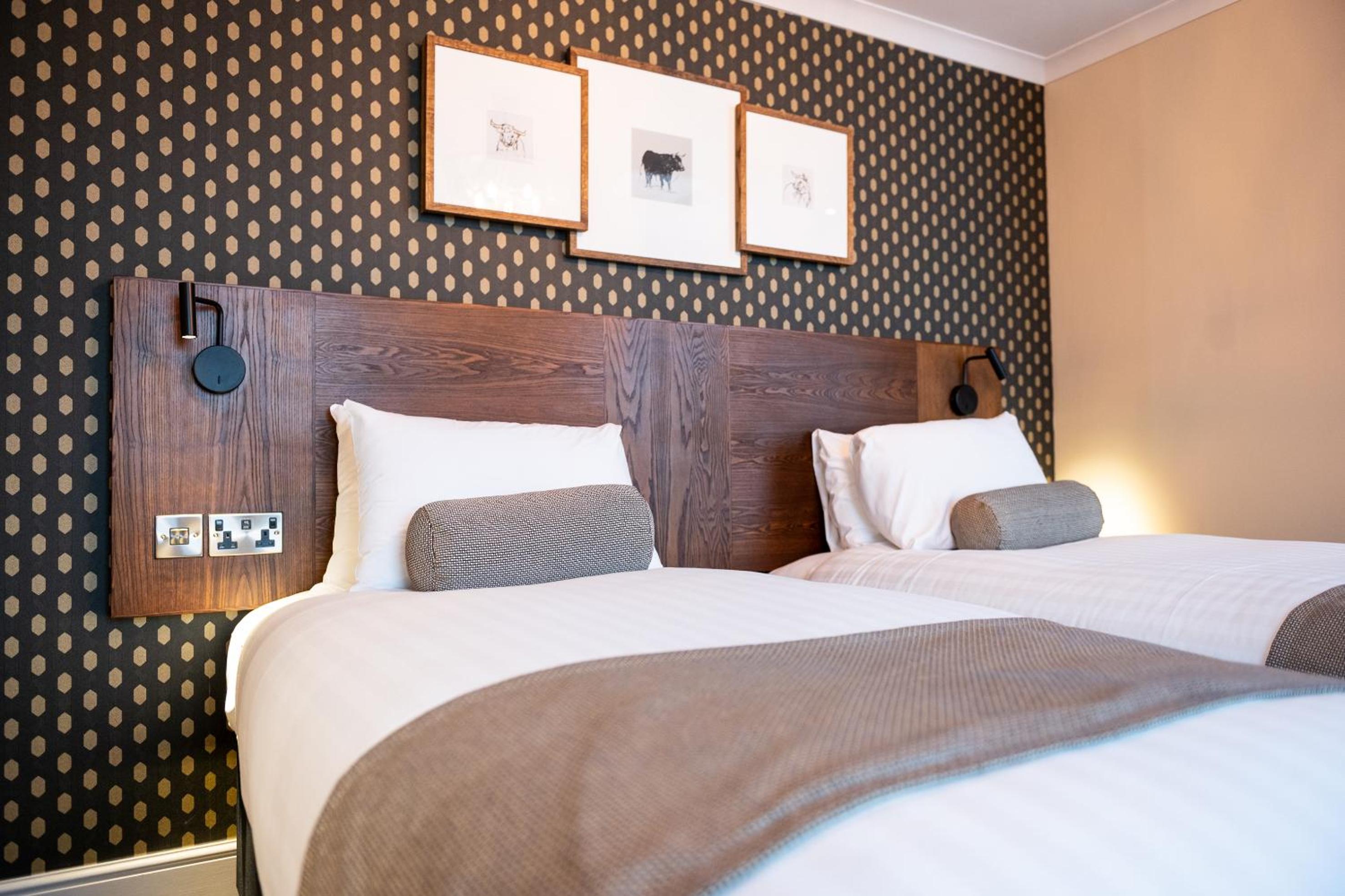Standard Twin Room photo 3