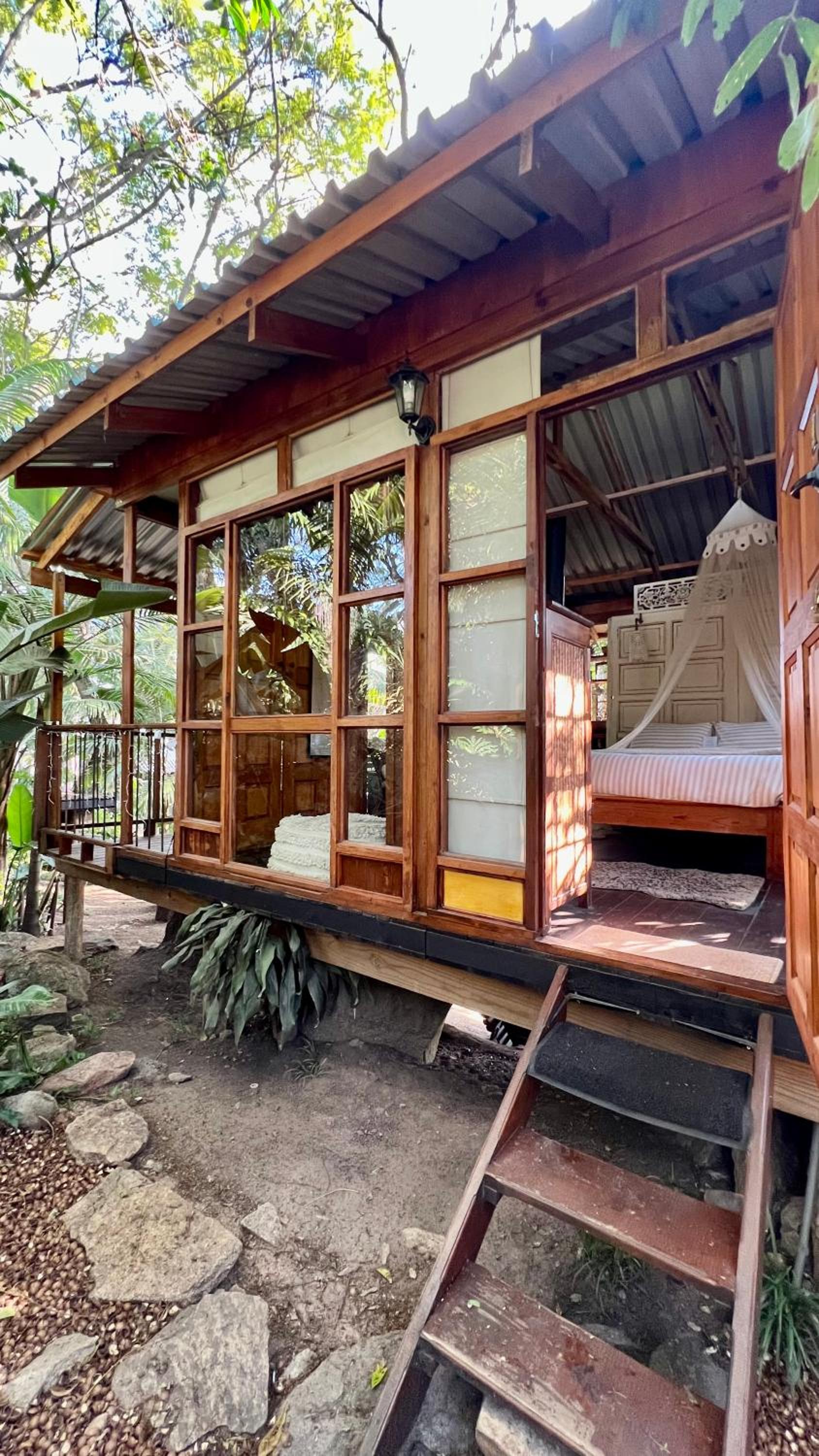 Tree House photo 3
