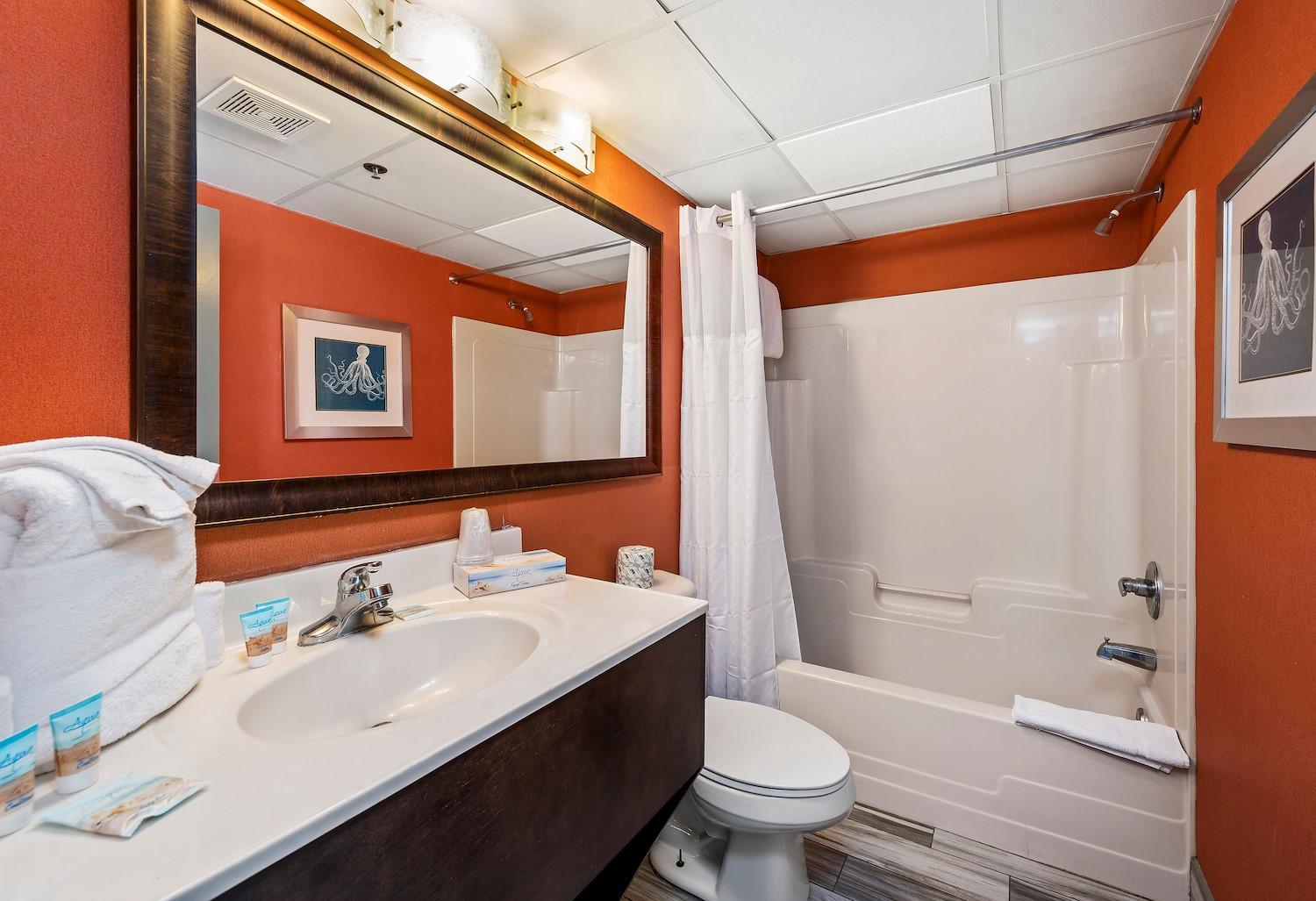 King Room with Spa Bath photo 3