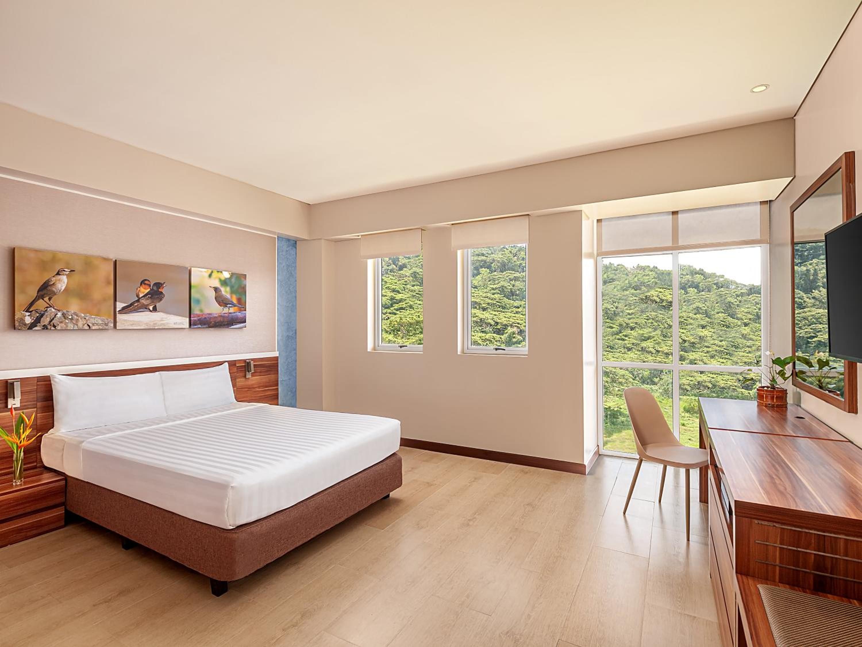 Standard Mountain View